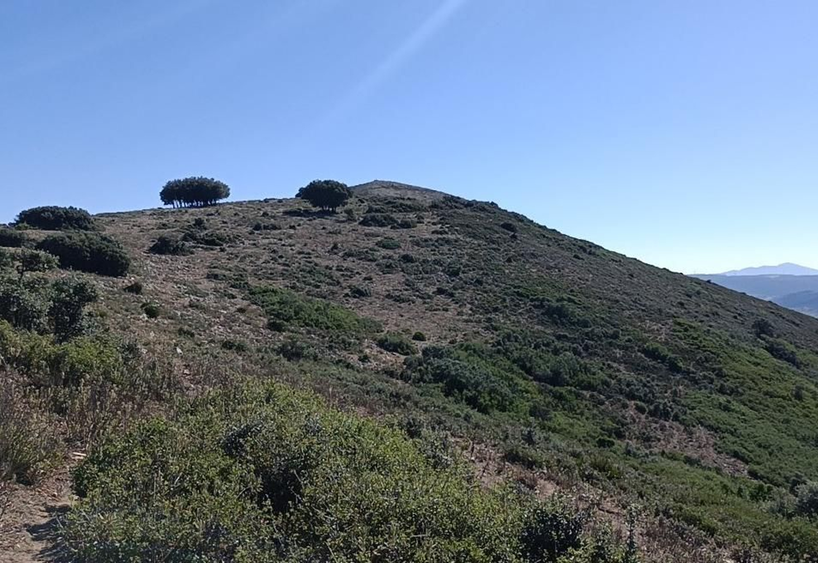 Al fondo, el Pico del Terril.