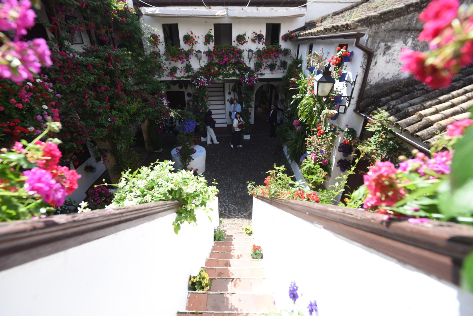 Los Patios de Córdoba de la Ruta del Alcázar Viejo, en imágenes