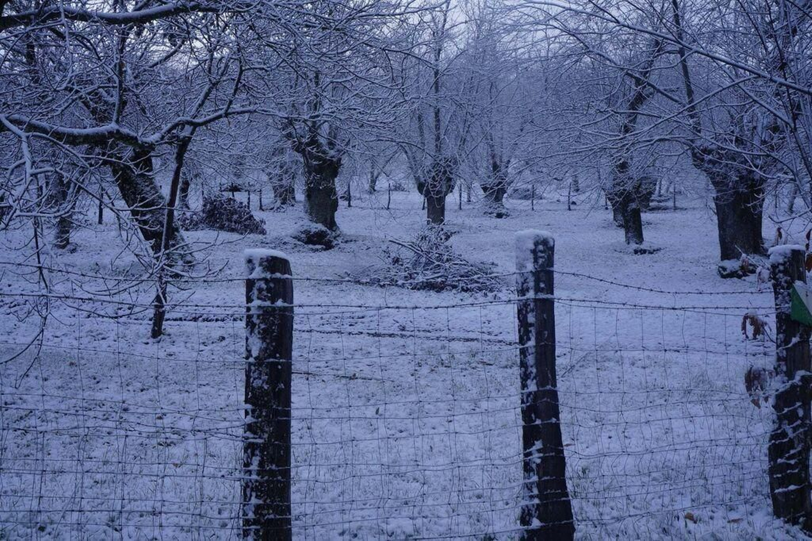 La Sierra de Aracena completamente nevada: dos años después de Filomena
