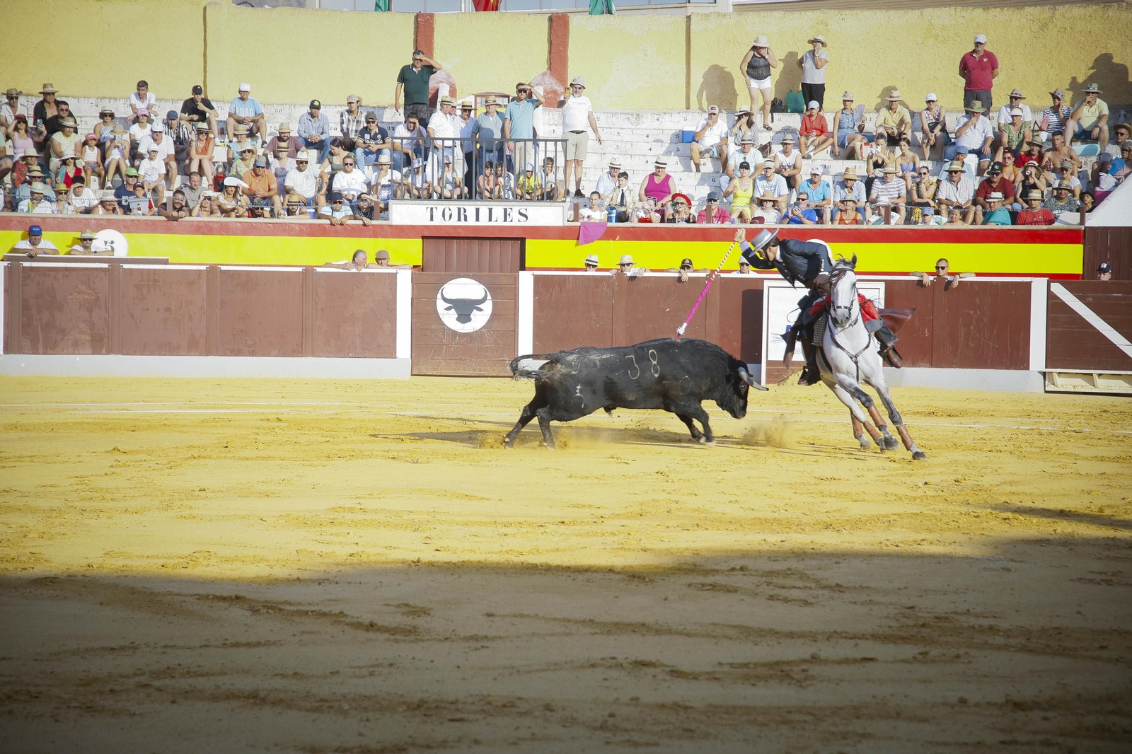 Corrida de toros Berja con un toro indultado, en imágenes
