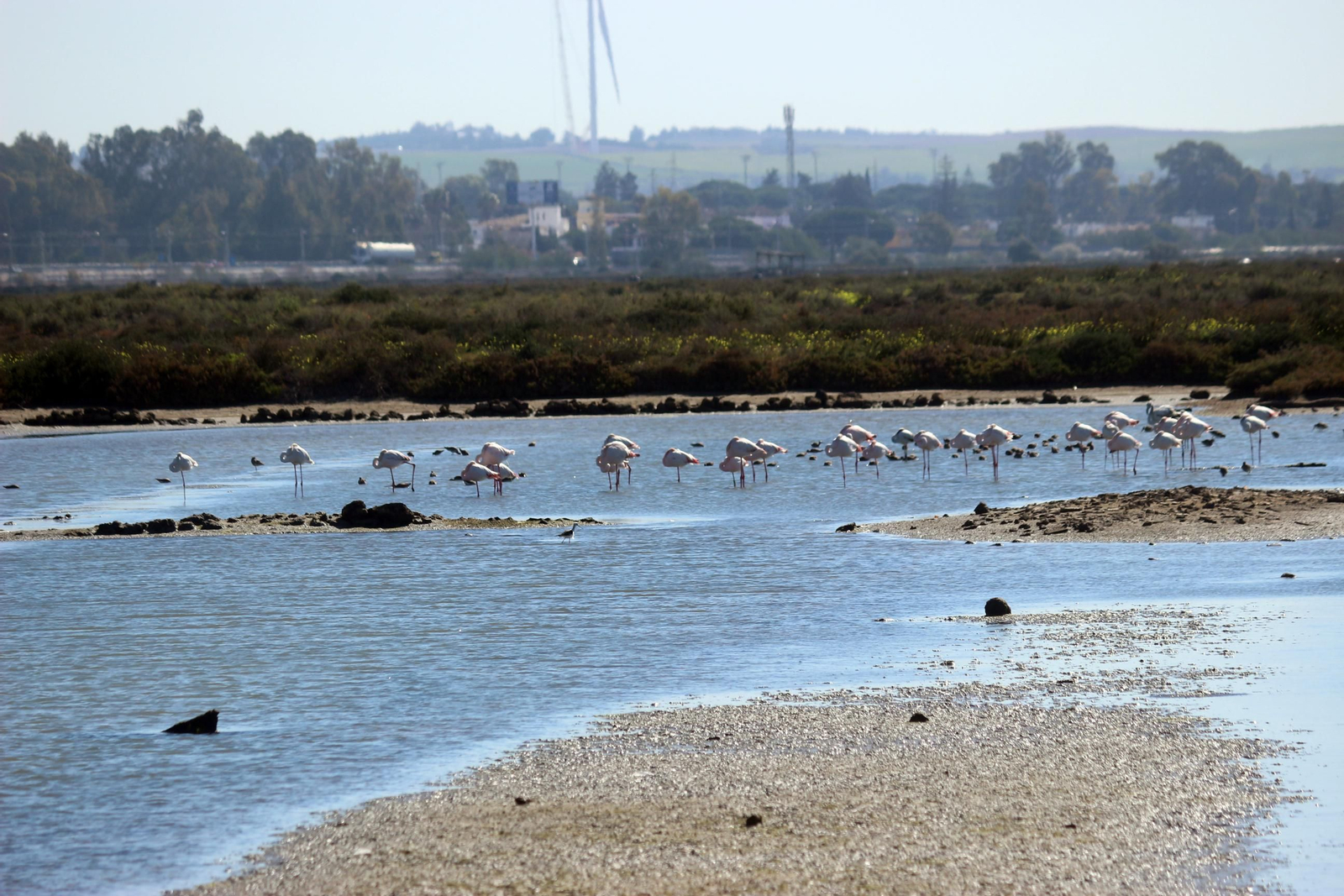 Así es la Salina de Balbanera en Puerto Real