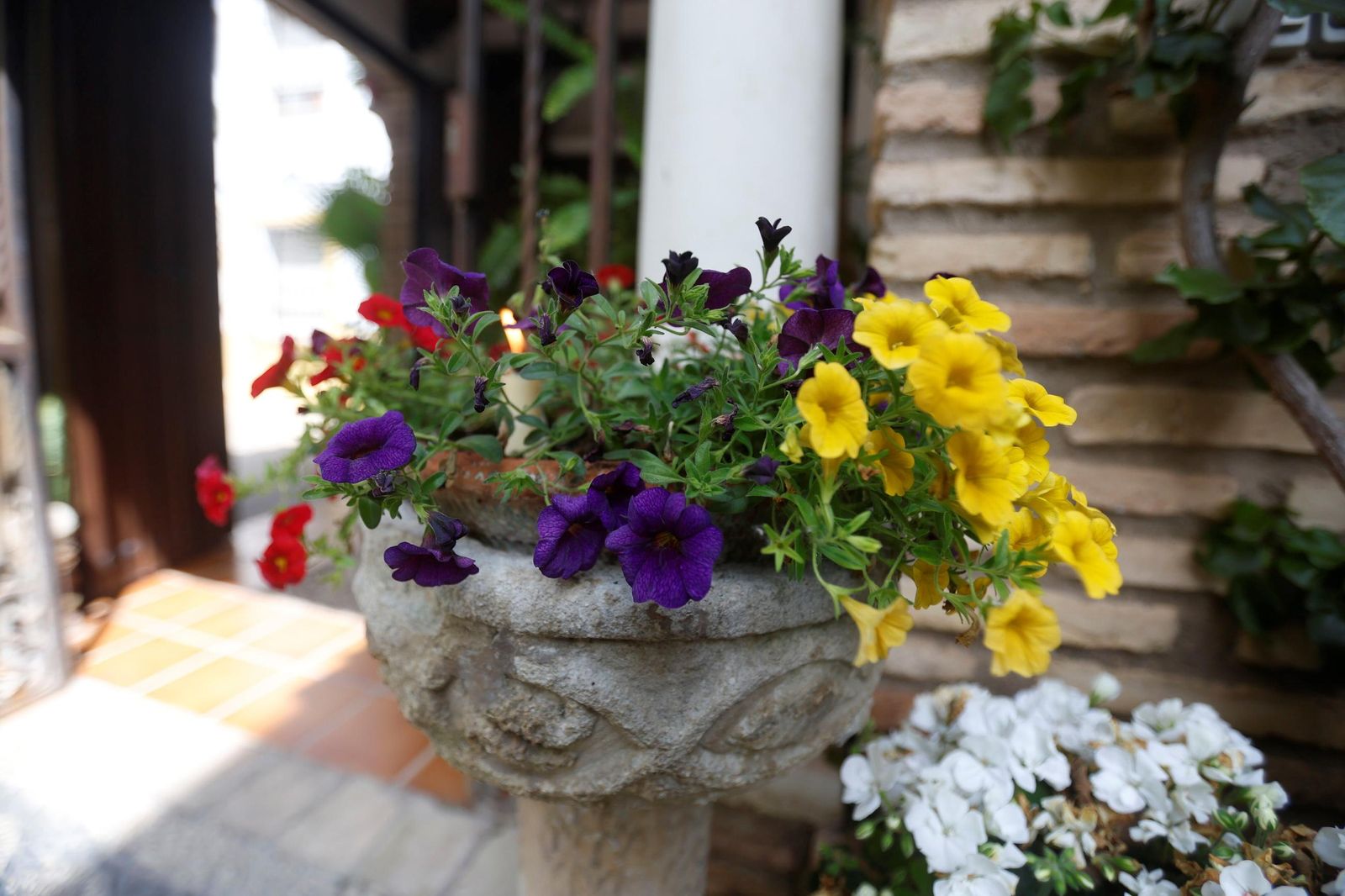 Los Patios de Córdoba que abren este Viernes Santo, en imágenes