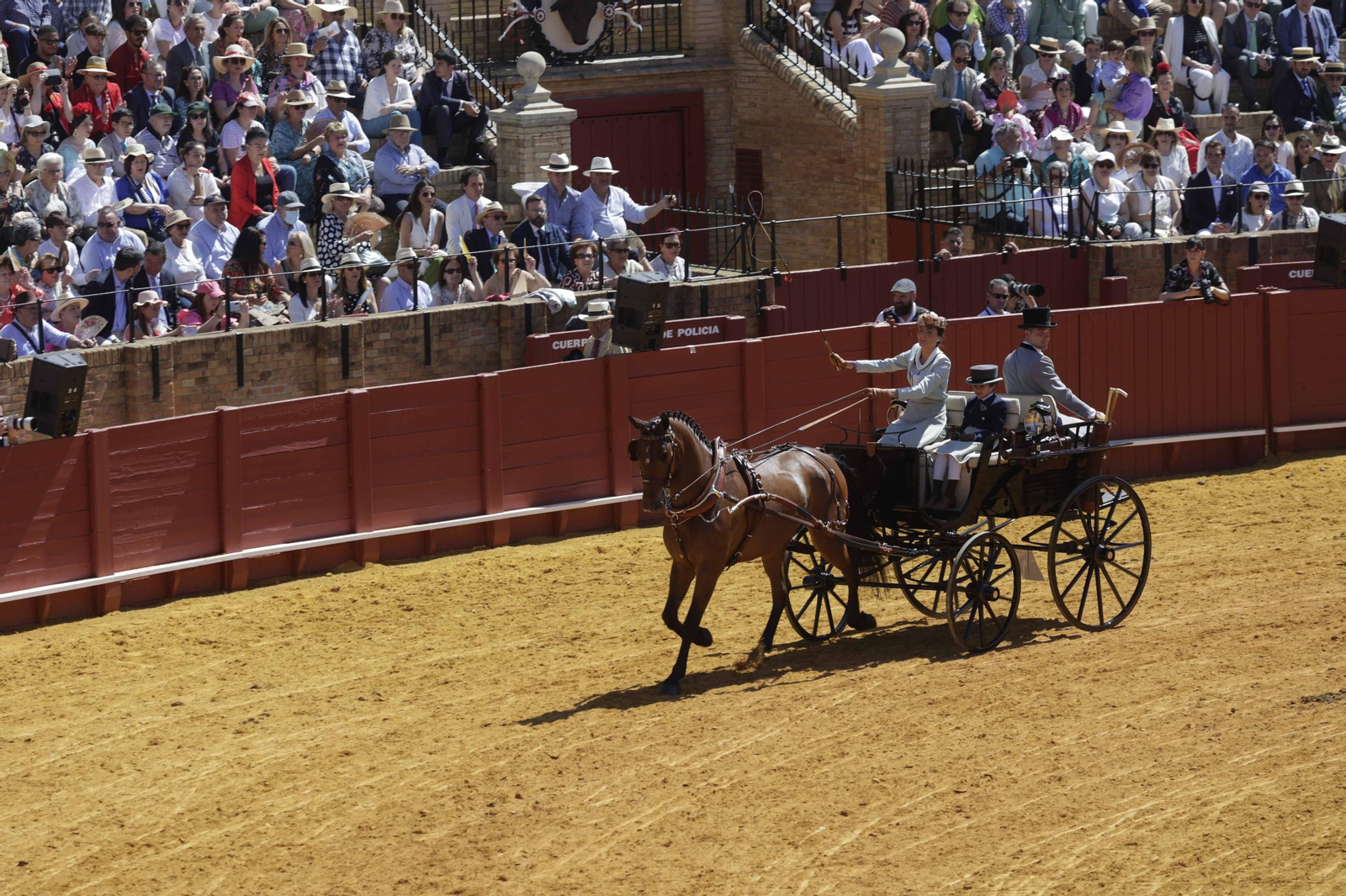 Las imágenes de la exhibición  de enganches en la Maestranza