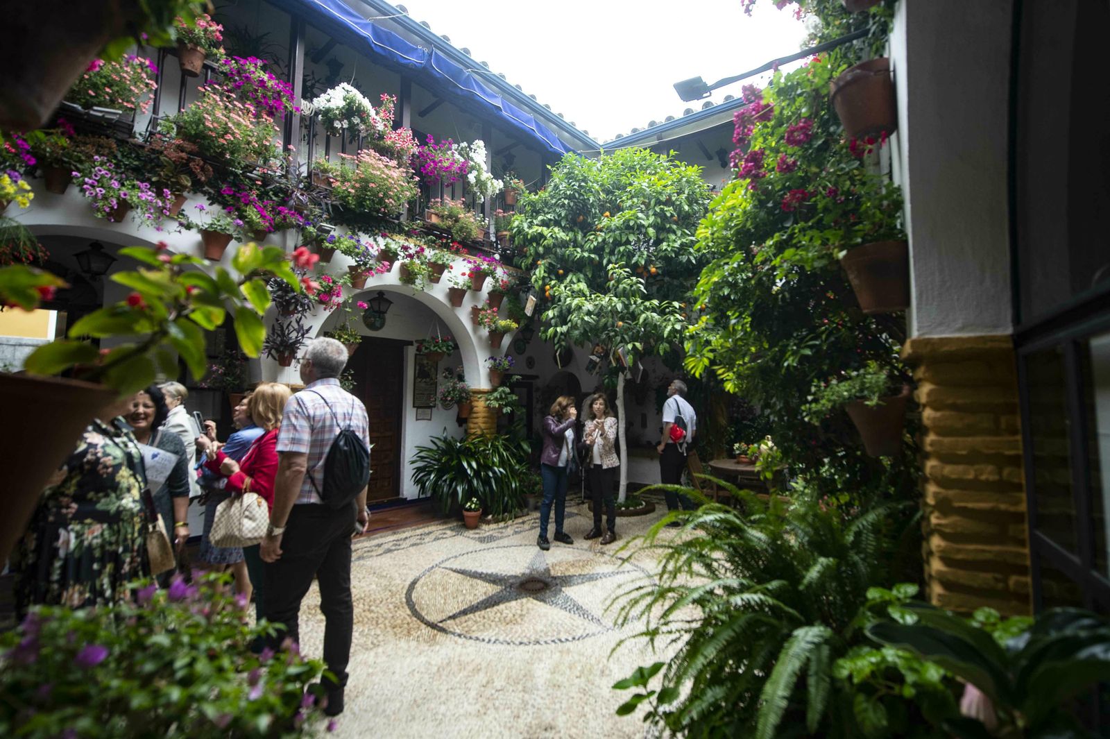 En imágenes: la ruta de los Patios Santa Marina-San Agustín