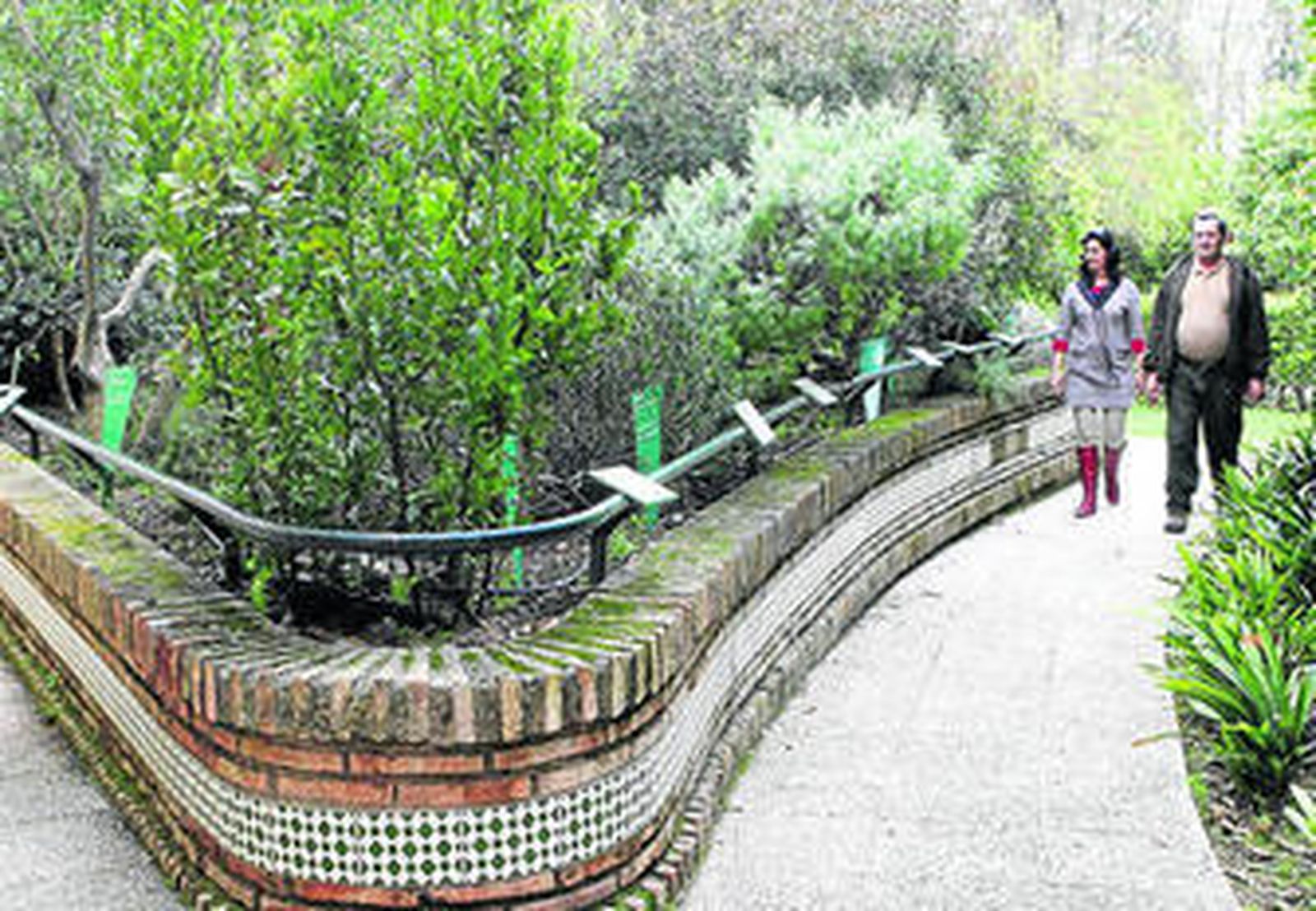 Imagen de archivo del Jardín Botánico.