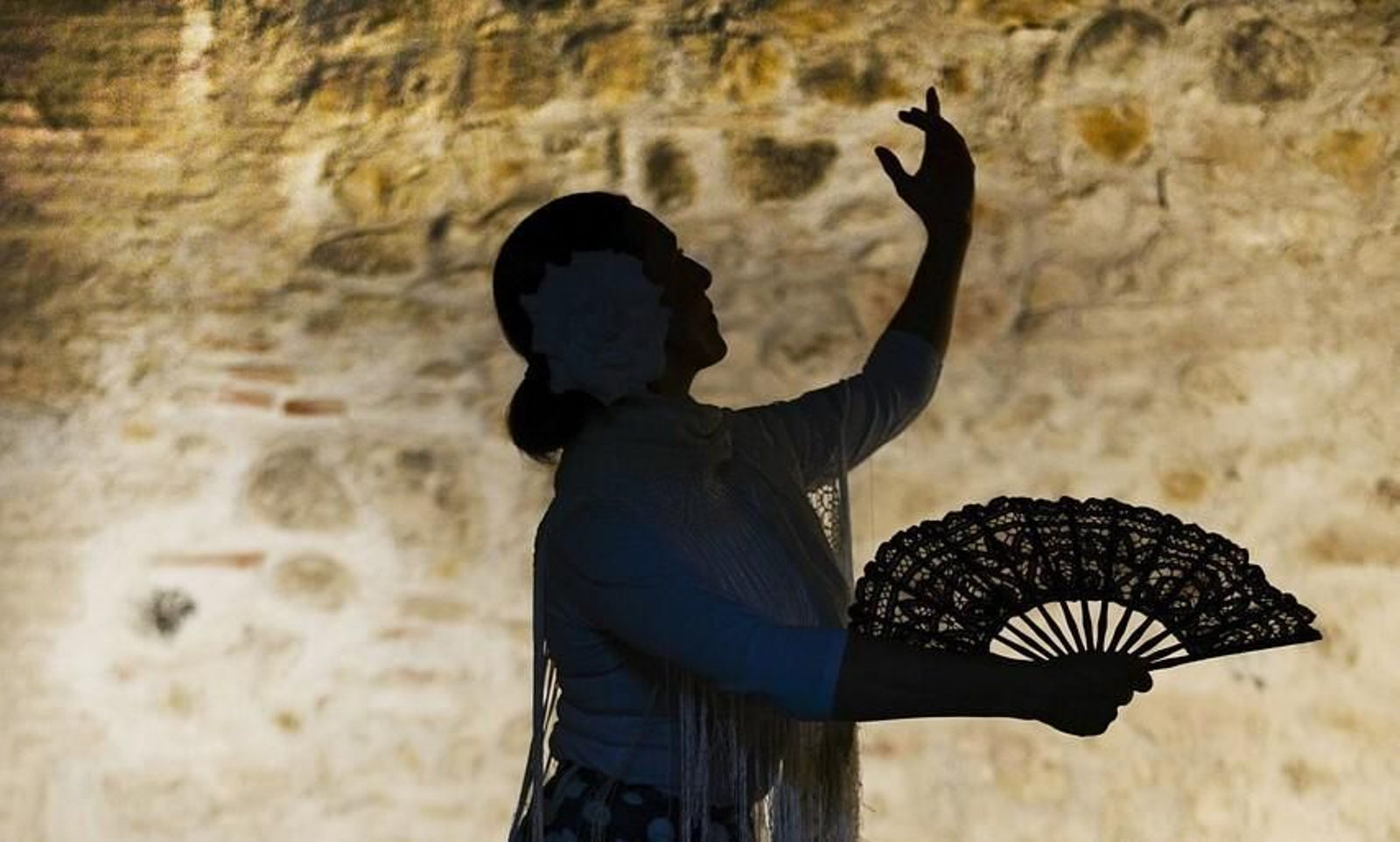 Baile Flamenco. Baile Flamenco.