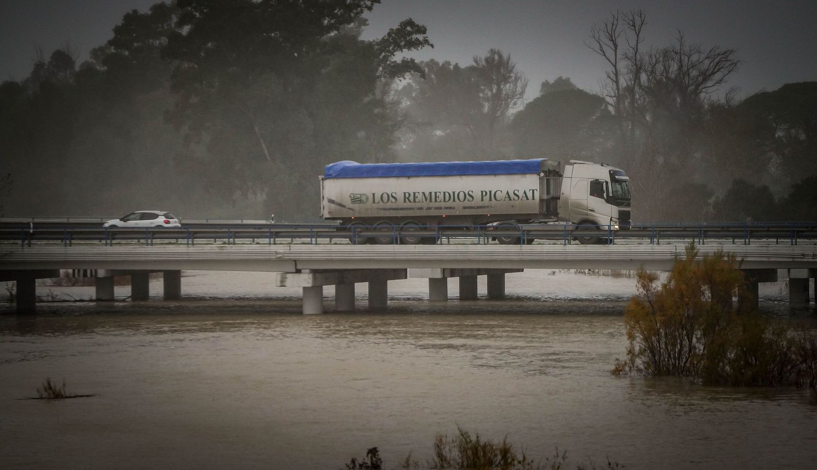 Imágenes de las graves consecuencias de la crecida del rio Guadalete en la zona rural de Jerez