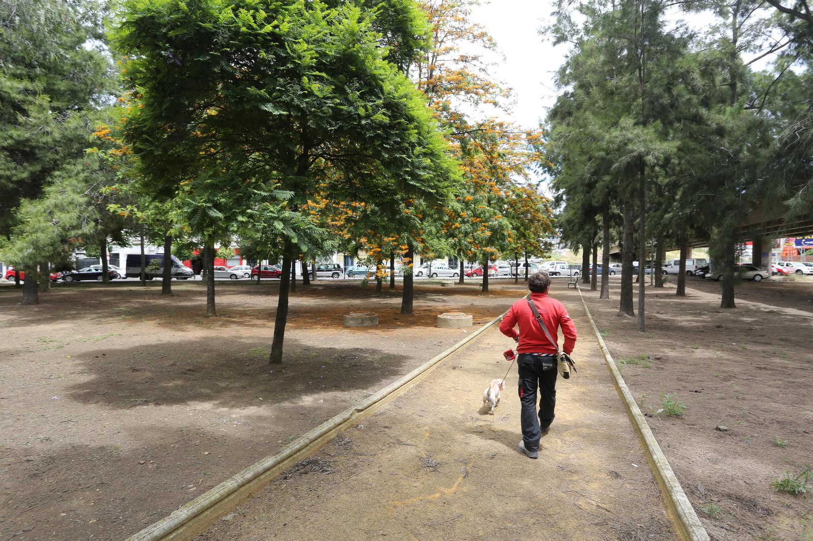 Un joven camina con su perro por el parque Luis Cordero Bel.
