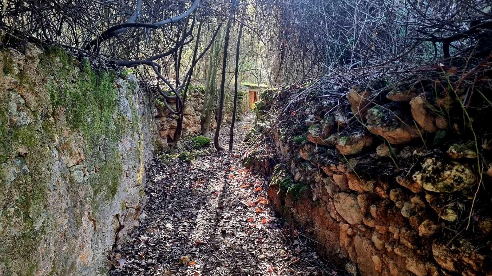 Un paseo en fotografías por el Bosque Encantado de Hornachuelos
