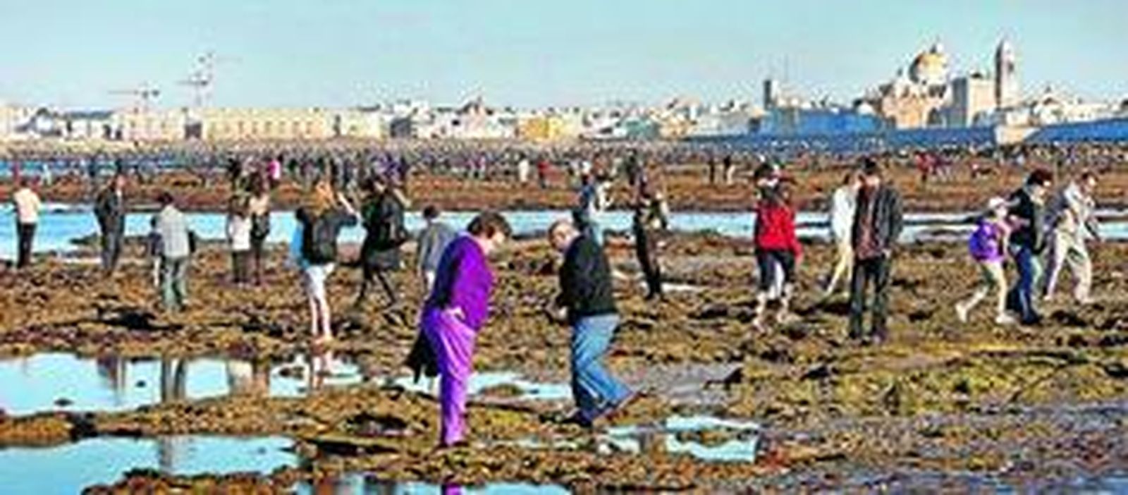 Ciudadanos de todas las edades se lanzaron a la playa a contemplar la bajamar. En la imagen, el roqueo de Santa María del Mar, en Cádiz, repleto de gente.