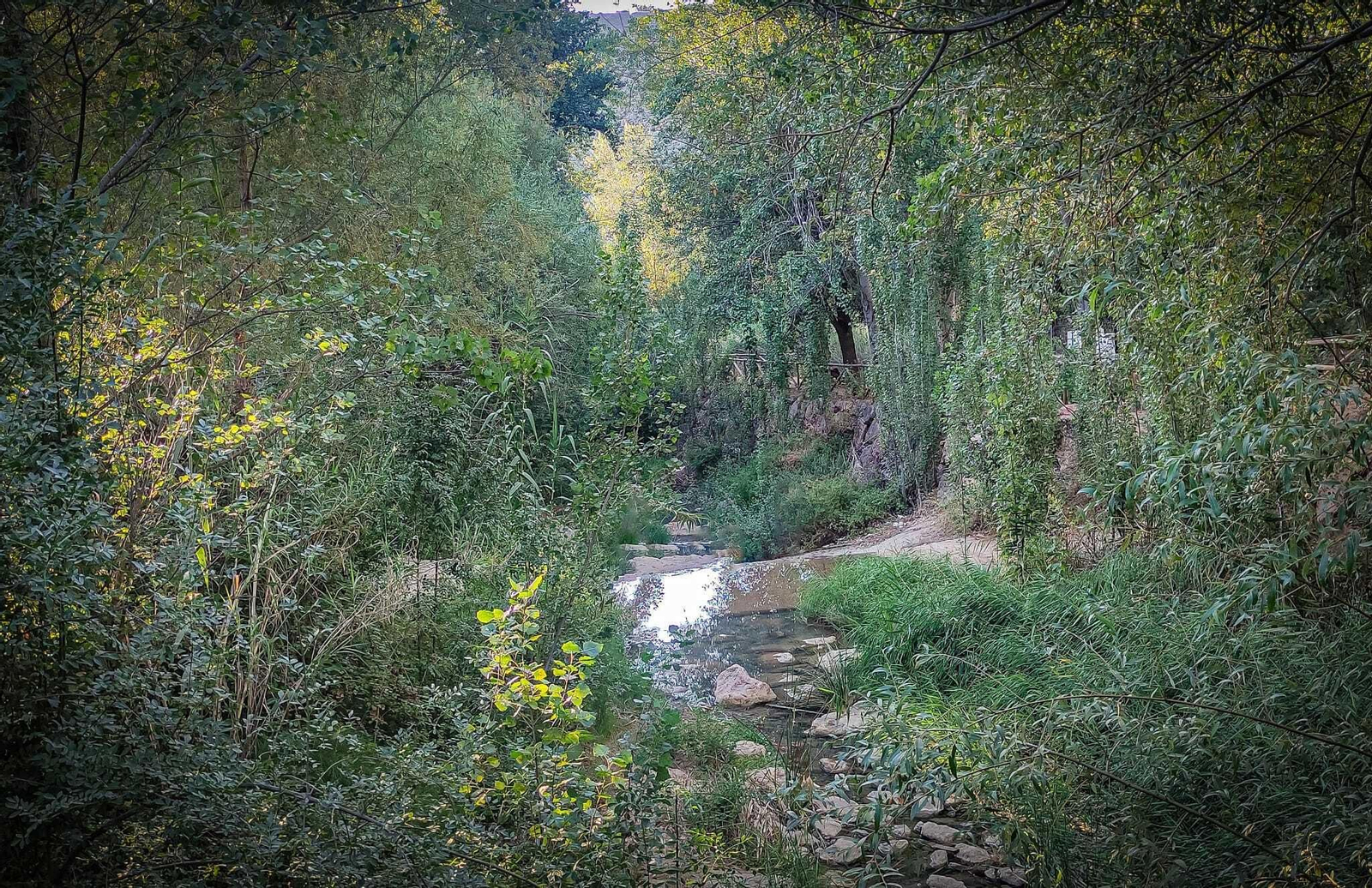 Esta zona verde te hará desconectar, porque además no hay cobertura. Esta zona verde te hará desconectar, porque además no hay cobertura.