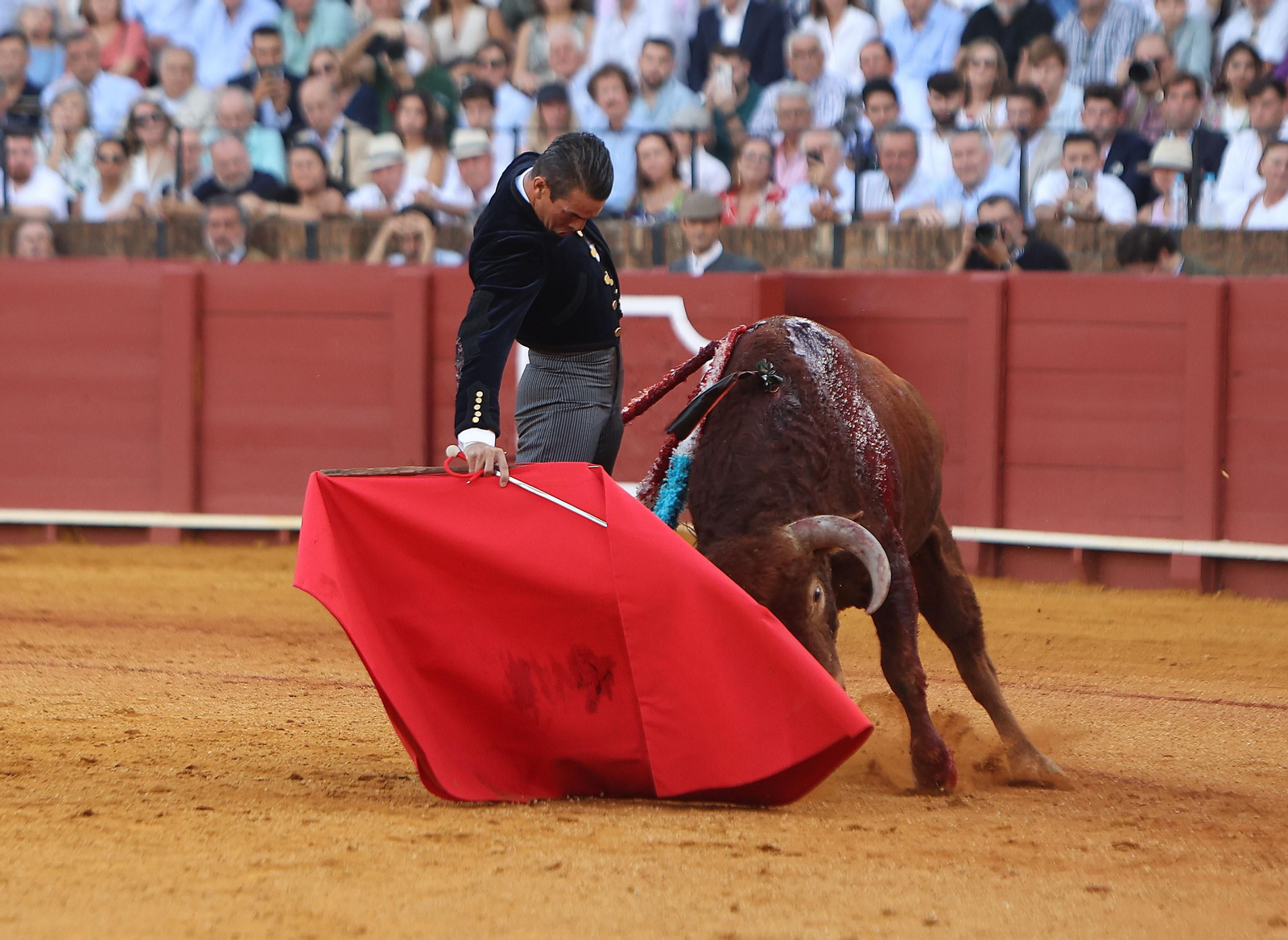 Fotos del Festival taurino a beneficio de l de la Hermandad del Rocío de Triana y de la Fundación Alalá