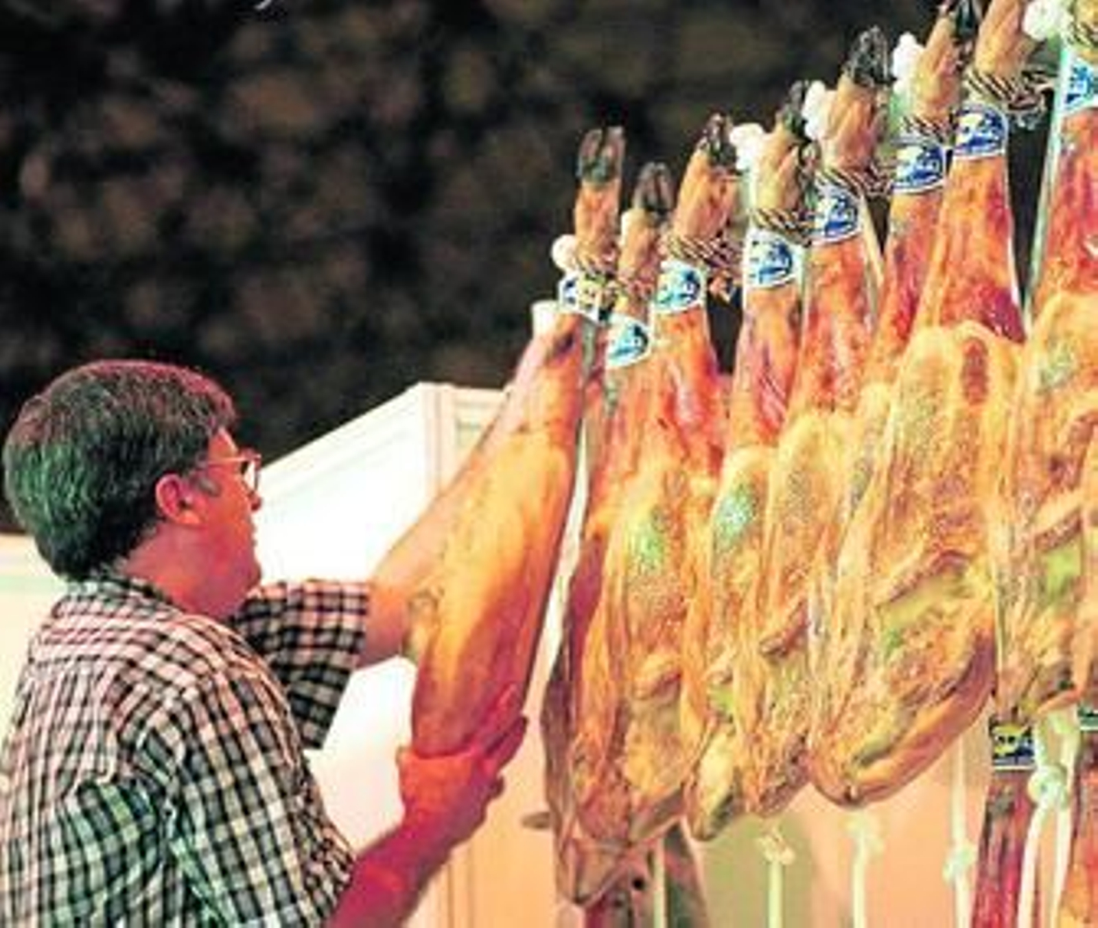 Un trabajador manipula un lote de jamones ibéricos en una fábrica serrana. Un trabajador manipula un lote de jamones ibéricos en una fábrica serrana.