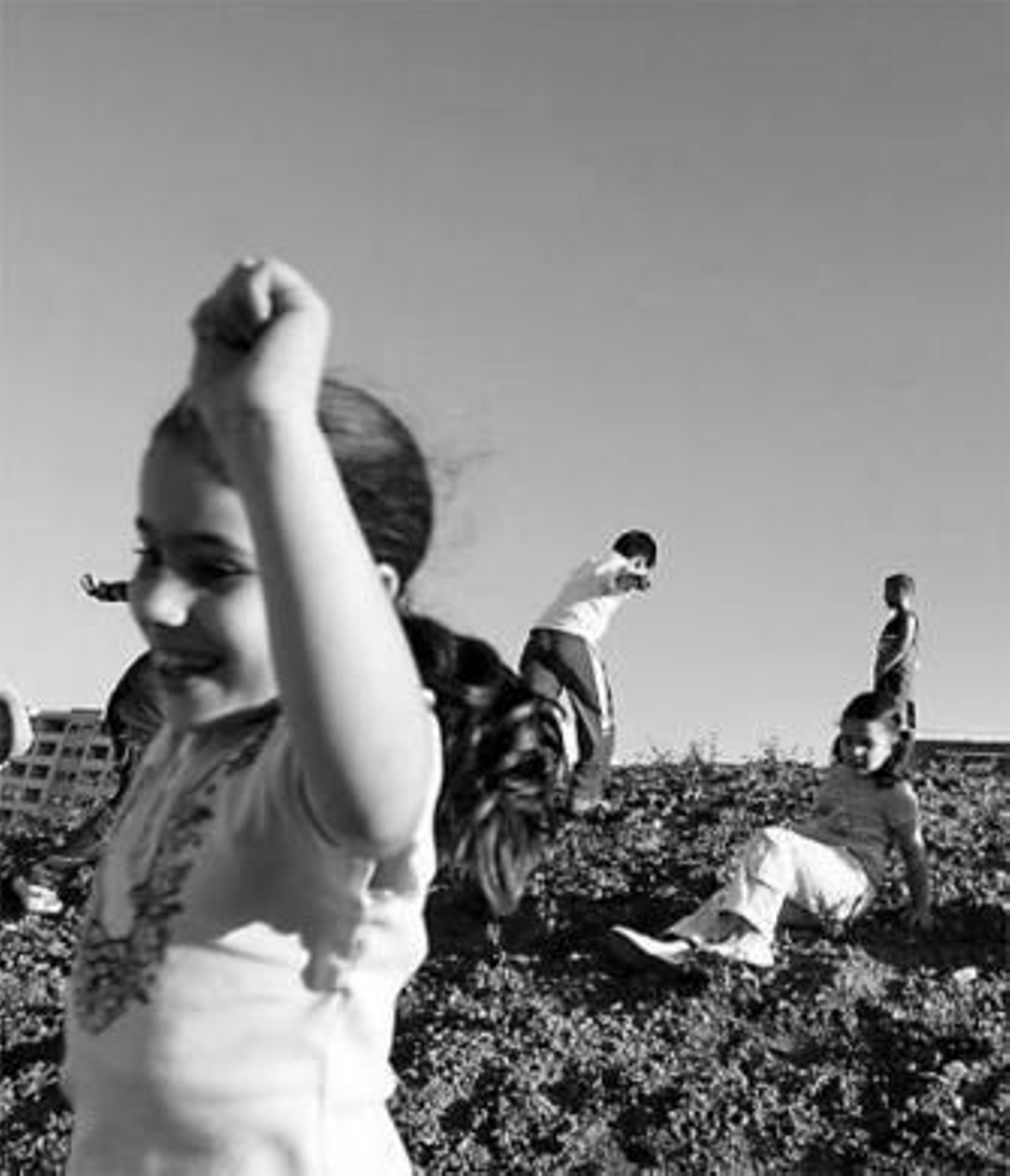 Un grupo de niños se divierte en un espacio verde.