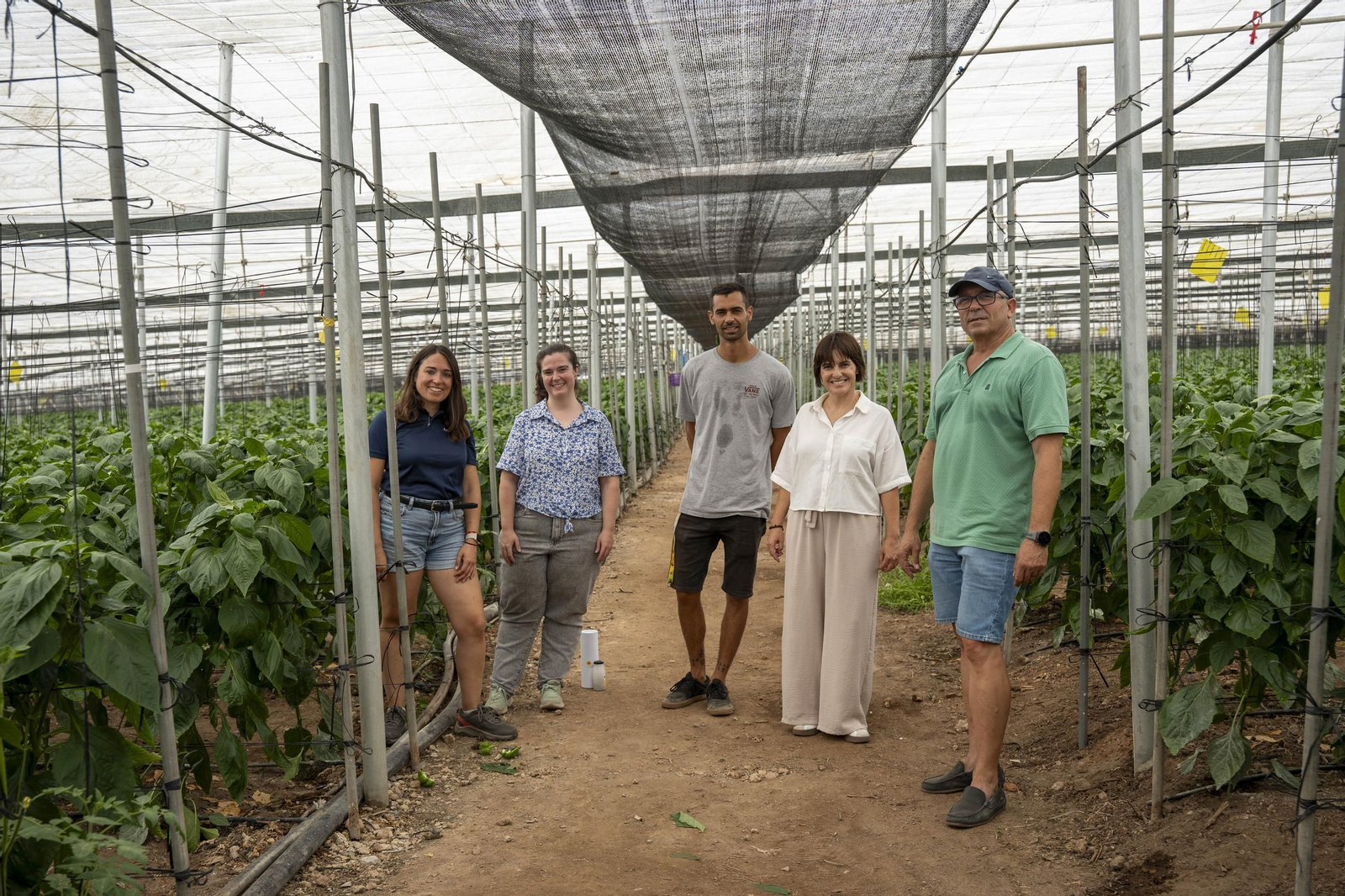 Las imágenes de la suelta de bichos depredadores para la lucha biológica en invernadero por Agrobio