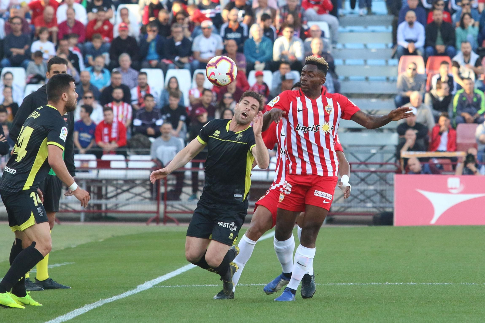 Fotogalería del Almería-Granada