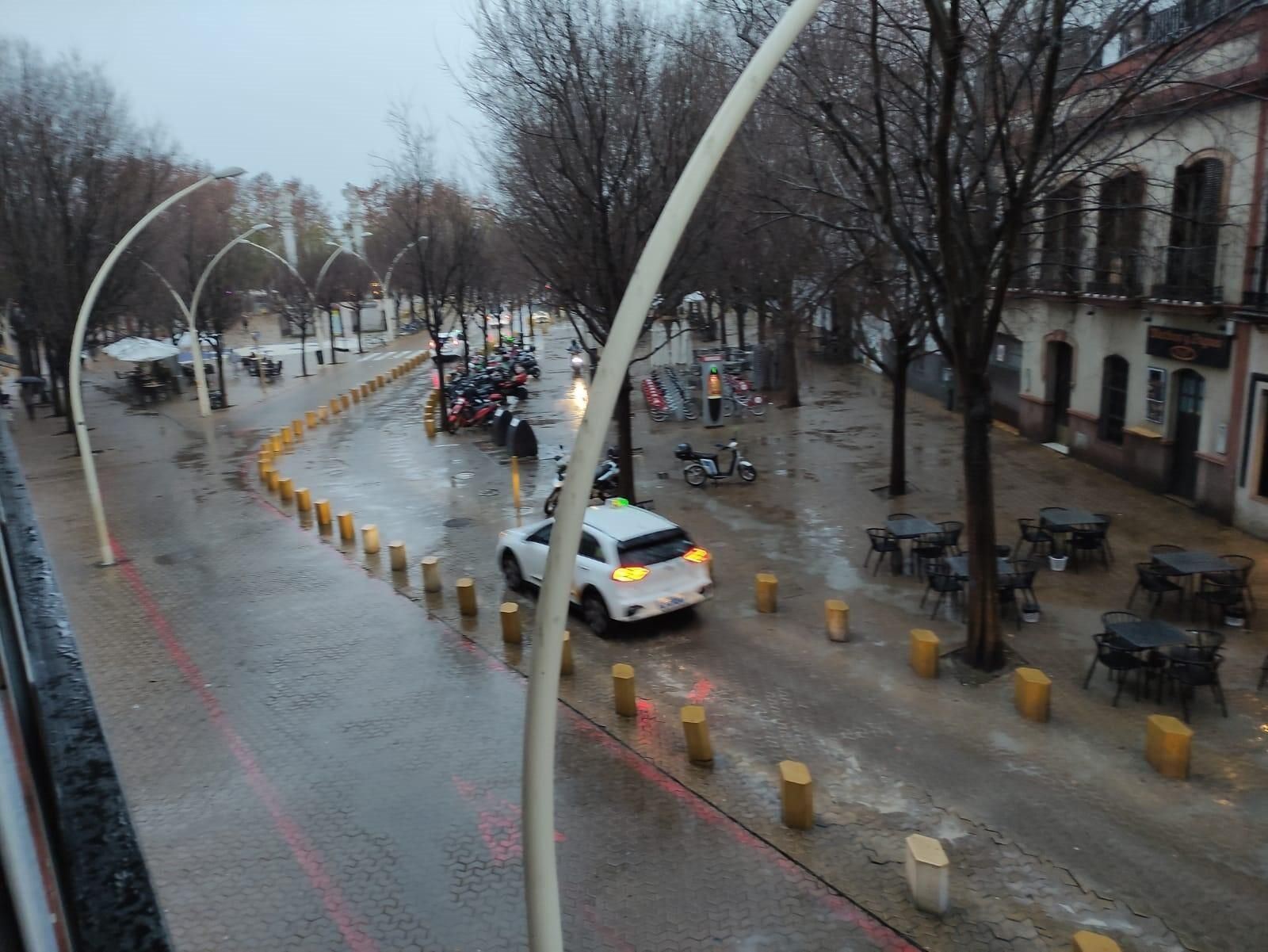 El invierno no existe en los pregones