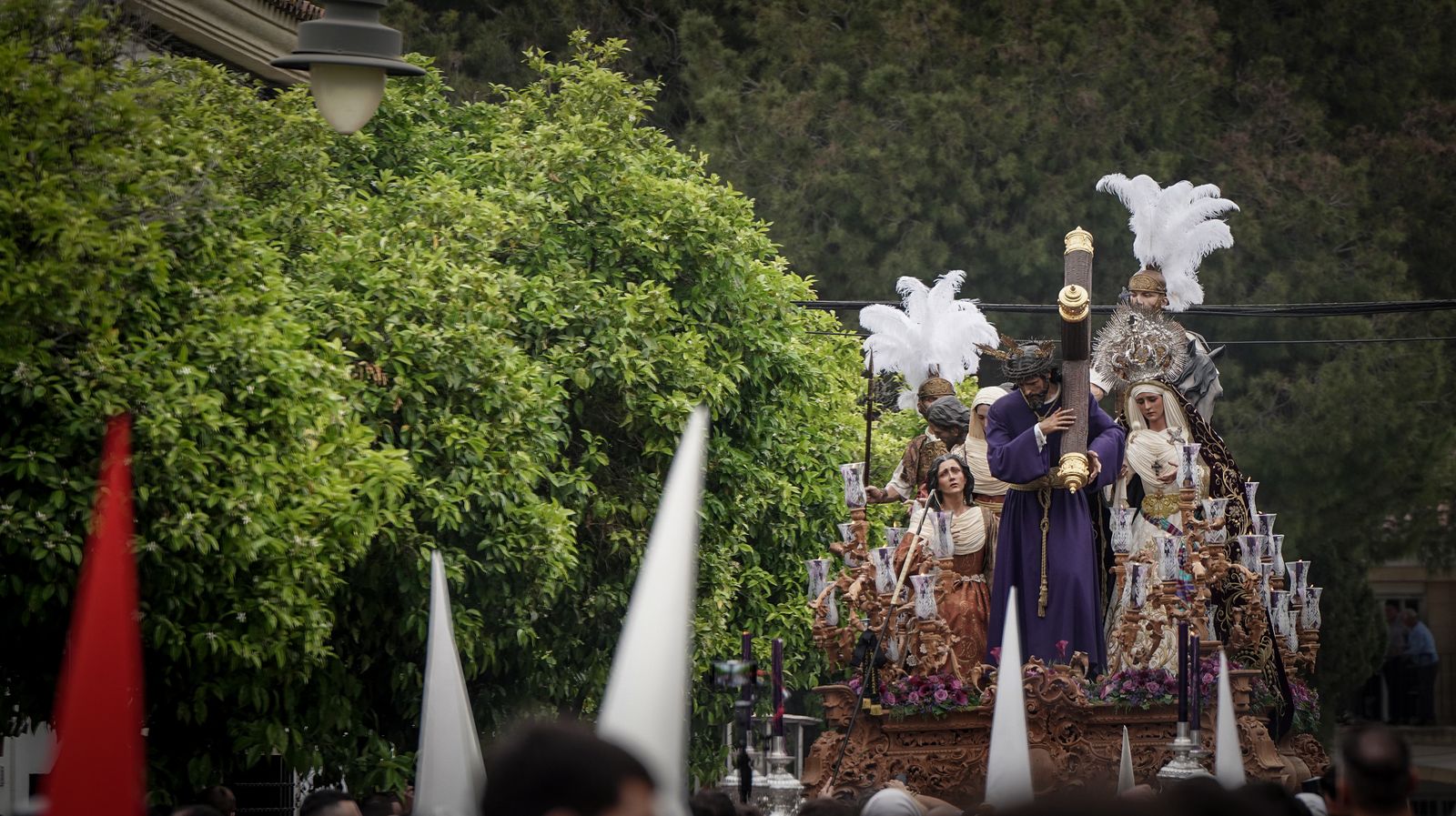 Hermandad de La Entrega, Semana Santa de Jerez 2024