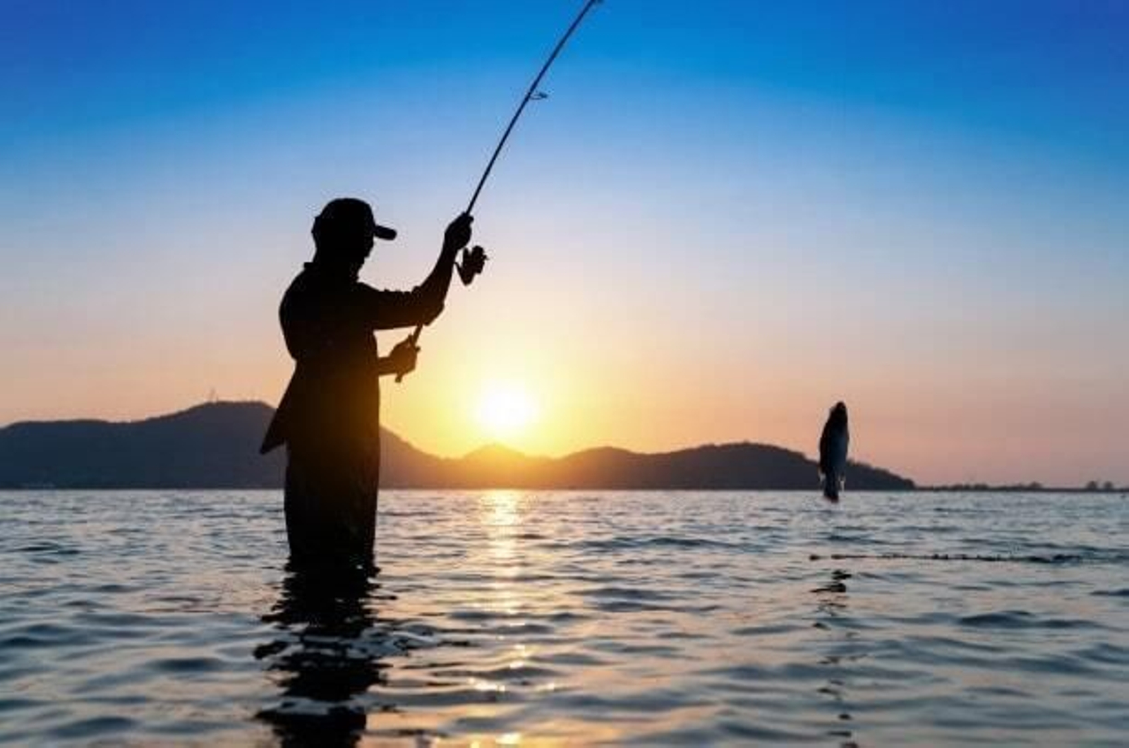 ¿Dónde y cuándo pescar en la costa de Huelva?