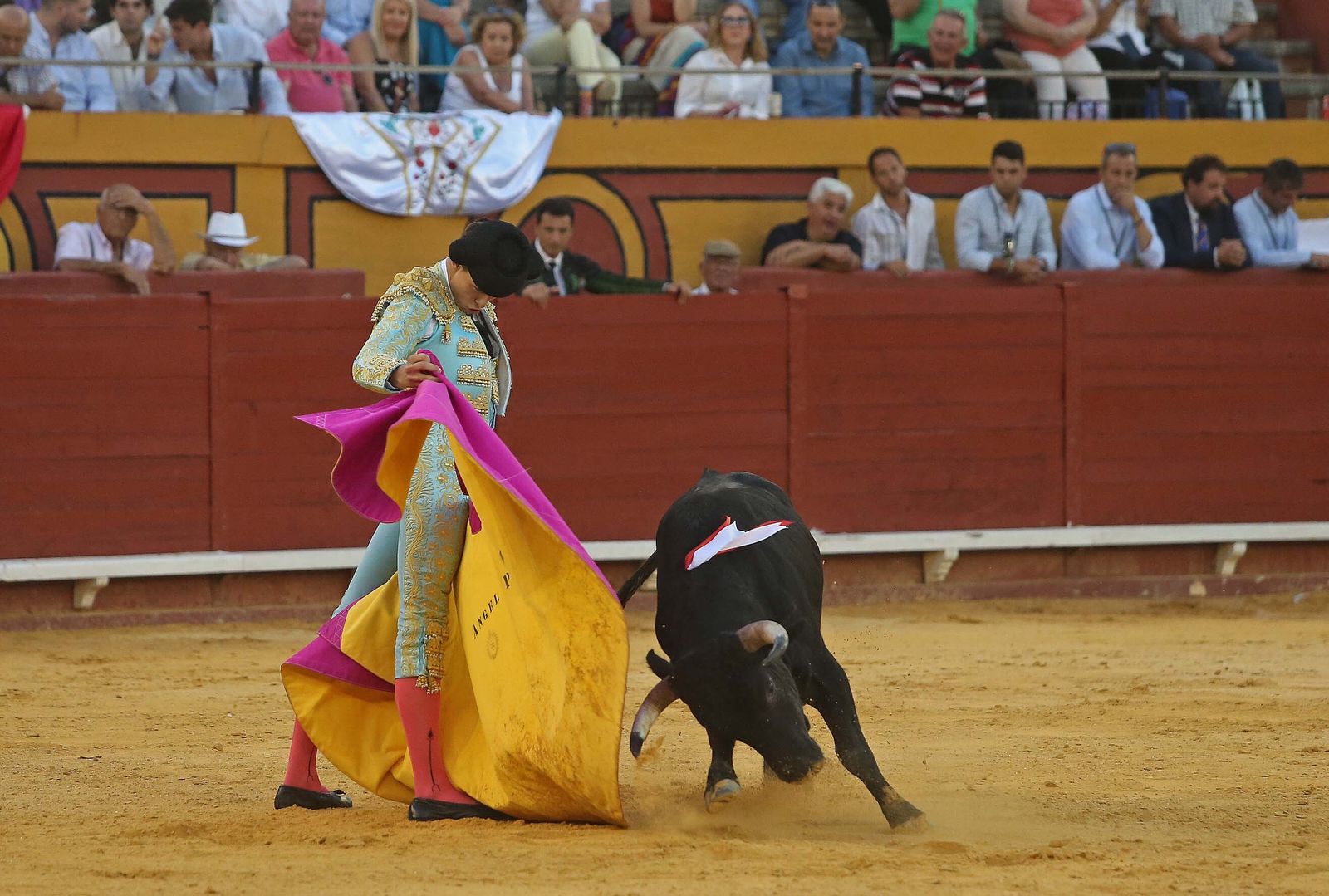 La novillada de Miguelín que abre la feria de Algeciras, en imágenes