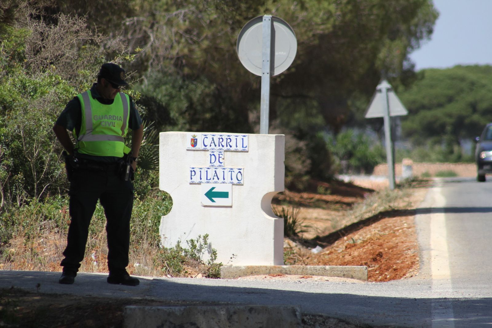 El incendio en el pinar de Roche, en imágenes