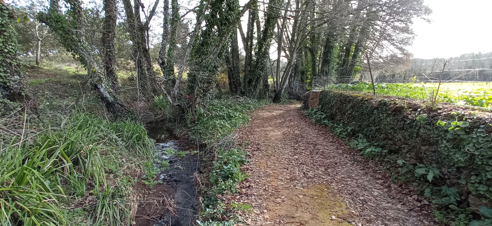 Las imágenes de la ruta de la Dehesa de Valdelama: De Los Marines a Fuenteheridos y vuelta