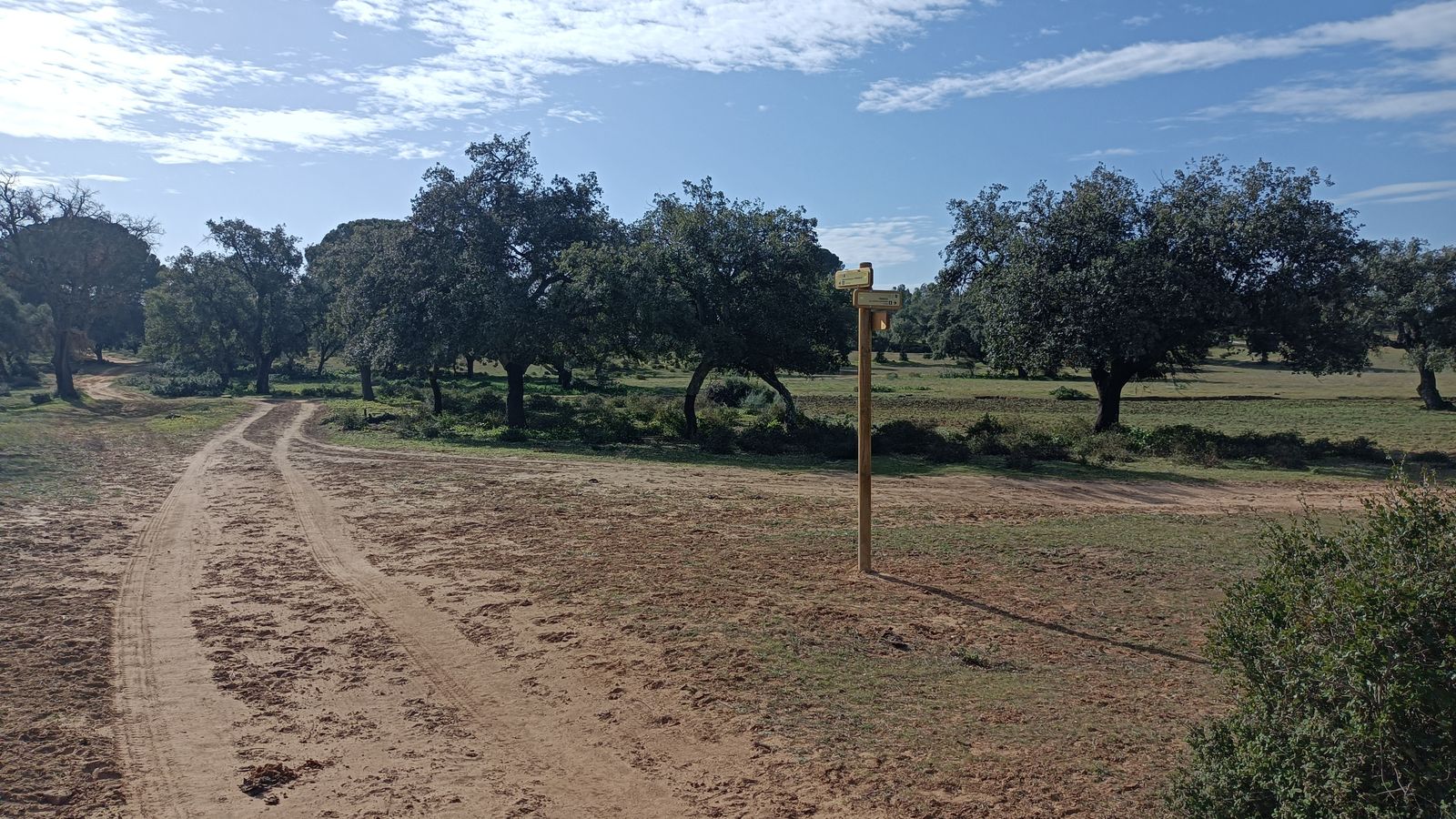 La encrucijada en el claro. Volveremos a pasar por aquí a la vuelta.