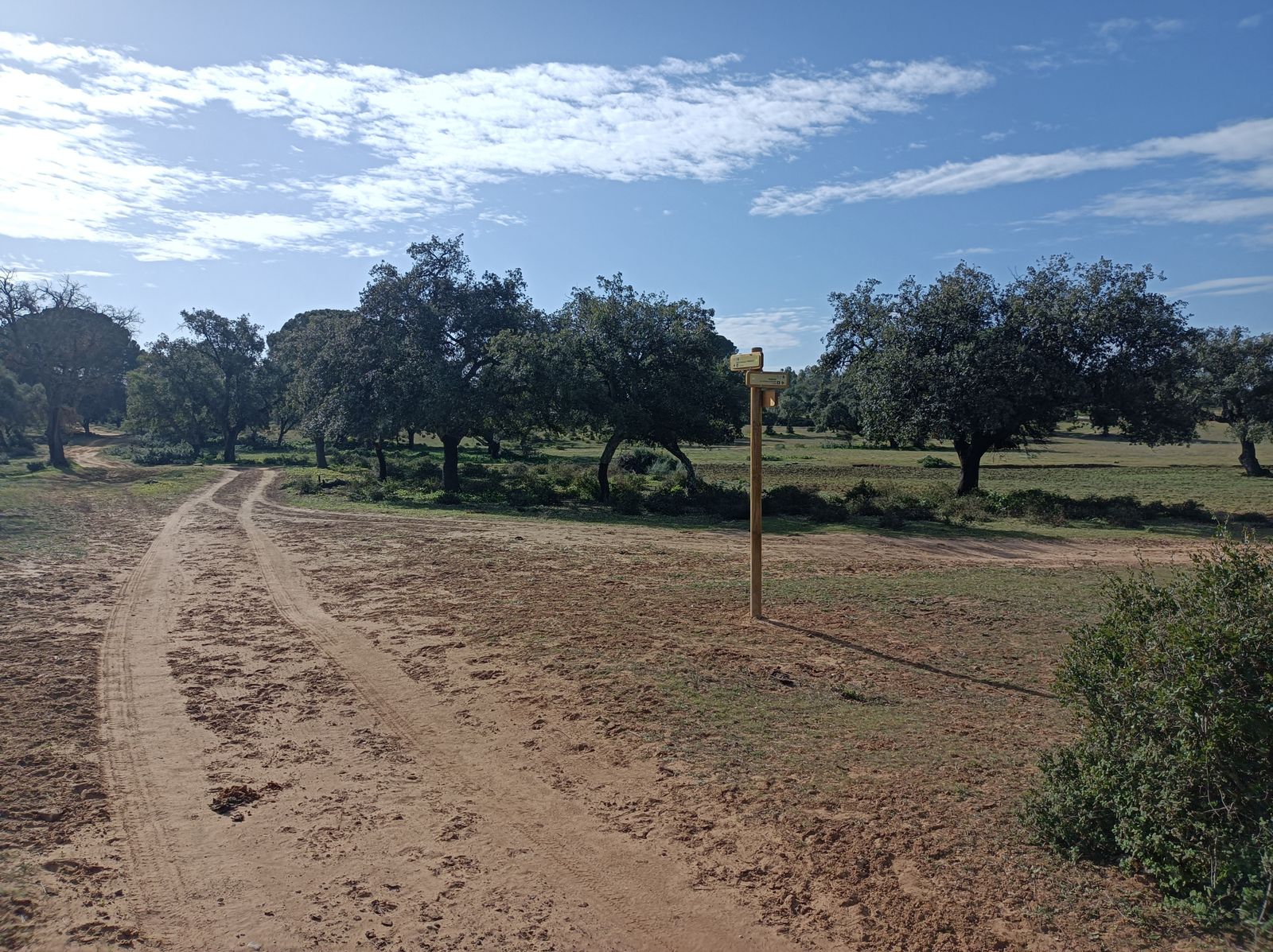 La encrucijada en el claro. Volveremos a pasar por aquí a la vuelta.