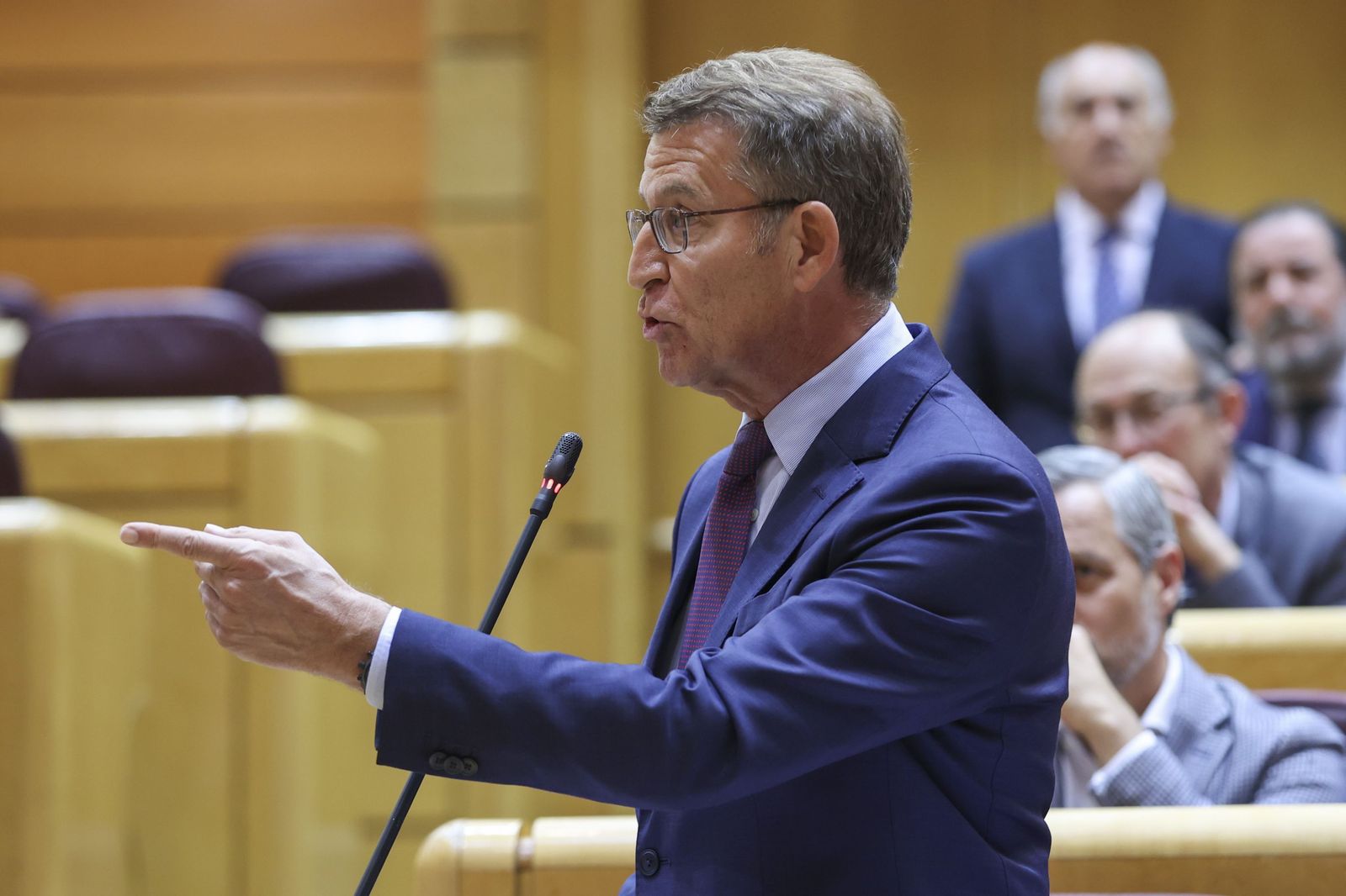 El PP acusa al PSOE de "forzar" a Ander Gil.