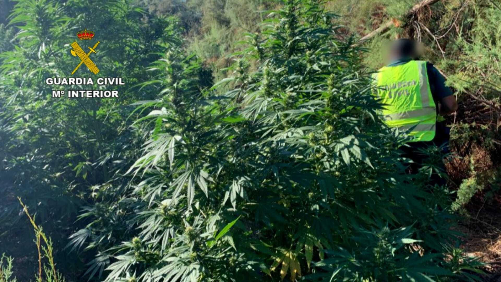 Imágenes de la actuación de la Guardia Civil en el Coto de Bornos