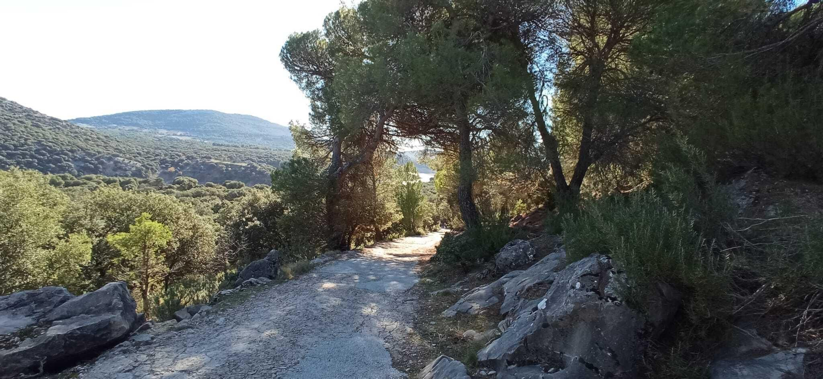 Cascadas de Guazalamanco