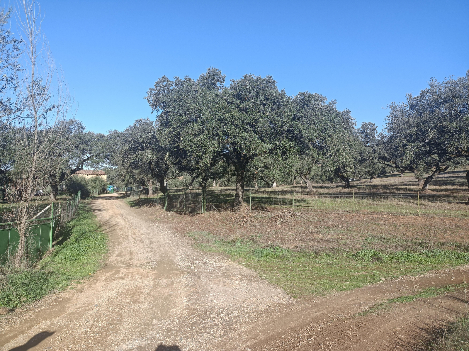 Fotos de la ruta de los molinos de Almadén de la Plata