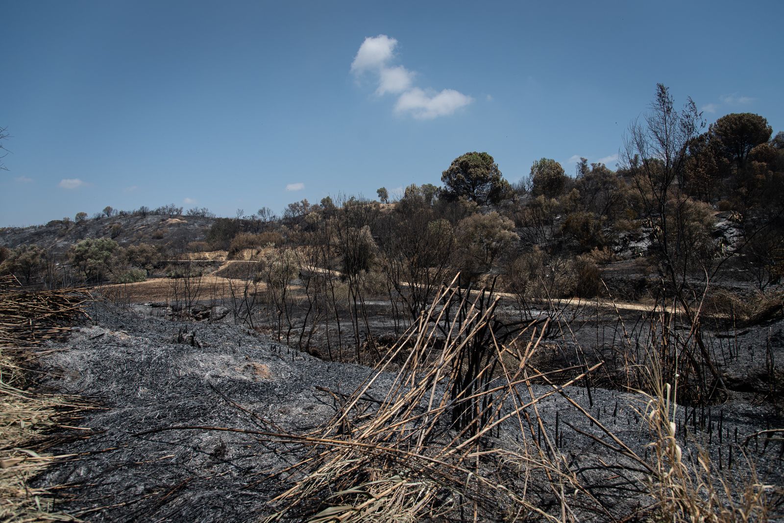 Imágenes de los destrozos causados por el incendio de Lucena del Puerto