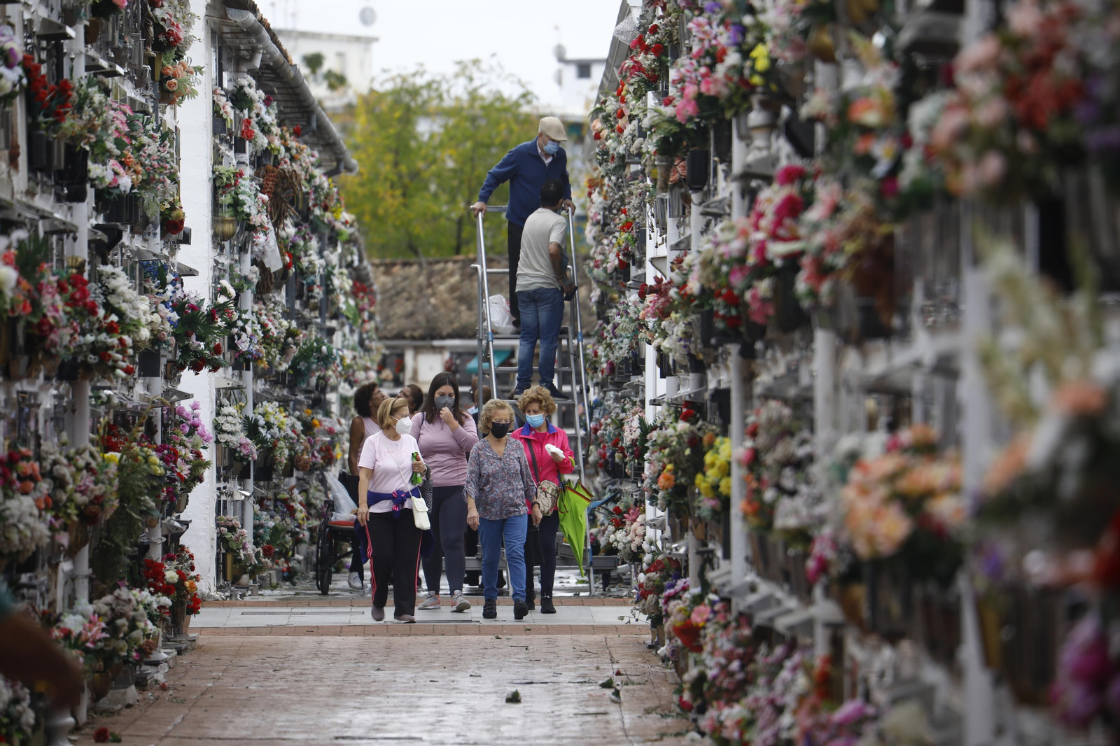 El Día de Todos los Santos de Córdoba, en fotografías