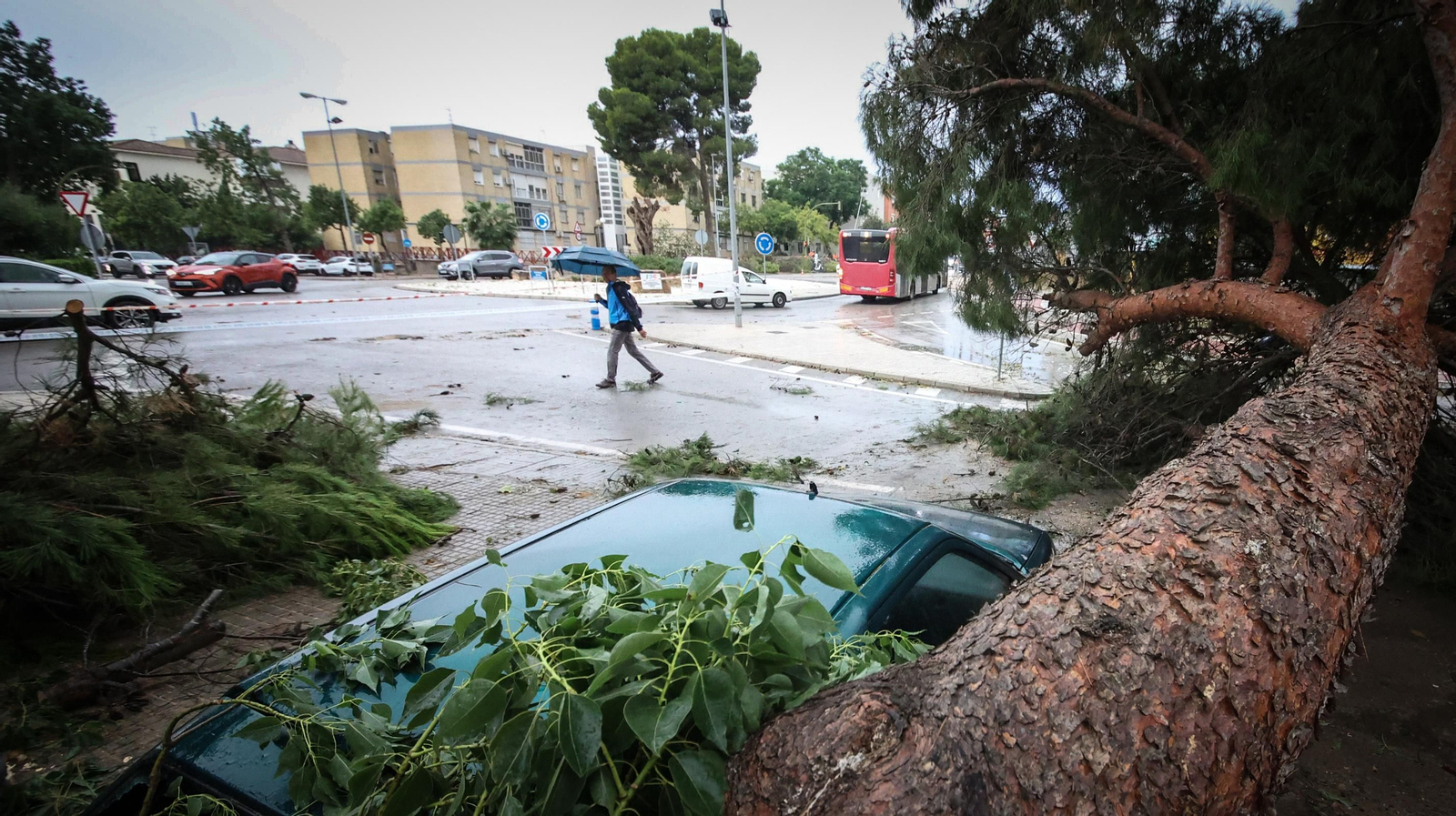 Así está Jerez tras el paso de 'Bernard'