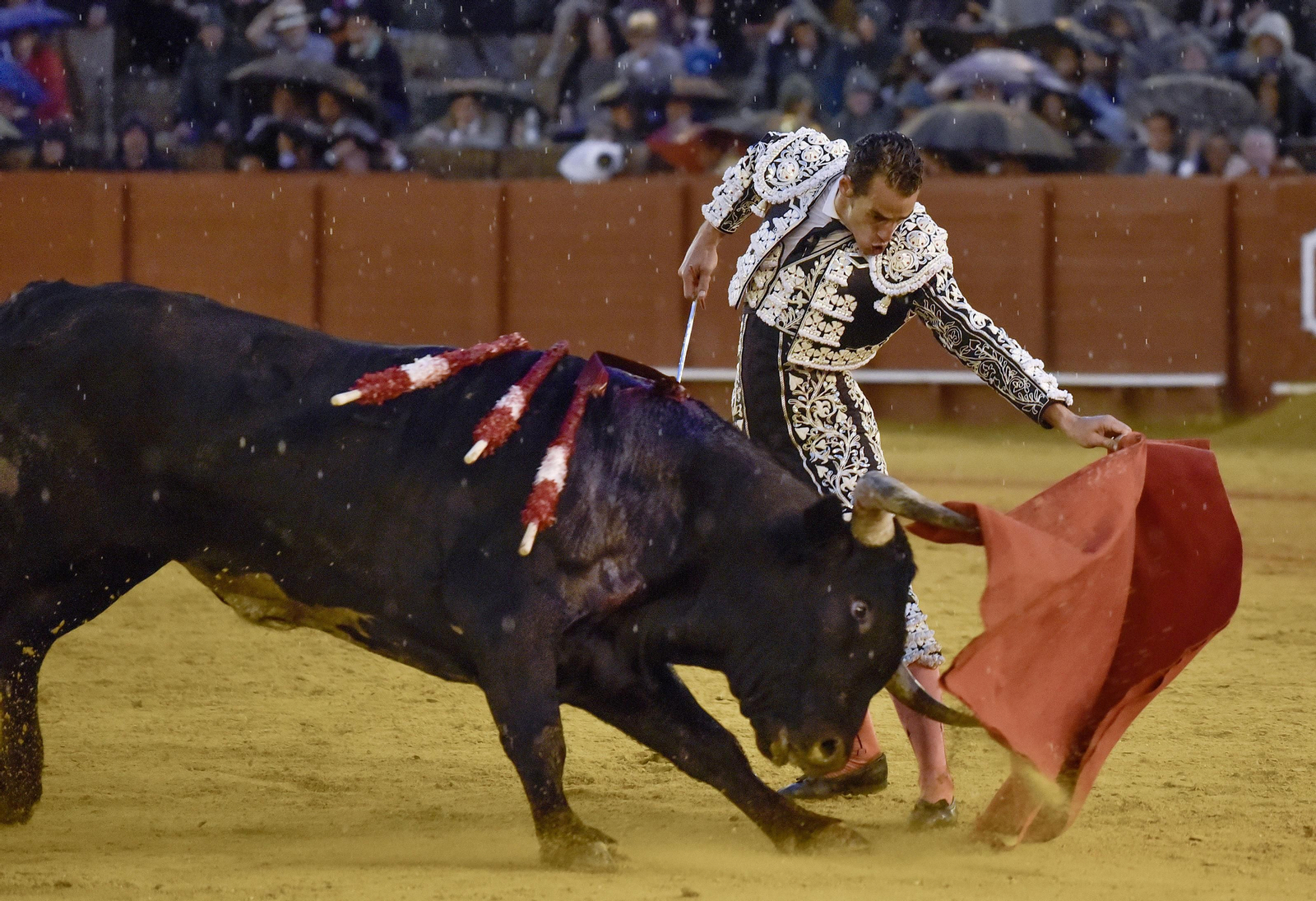 Las imágenes de la 14ª de abono de la Maestranza