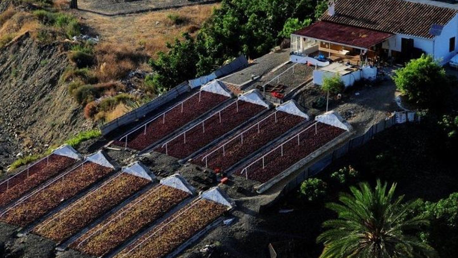 Paseros en el municipio de Almáchar.