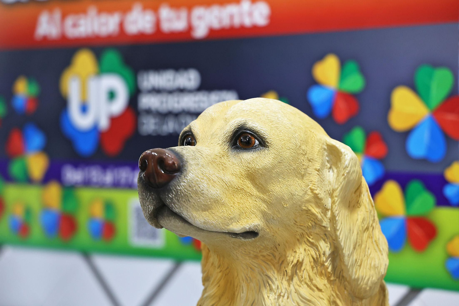 Inauguración de la Semana del Grupo Social ONCE y exposición de material educativo, braille y tiflotécnico