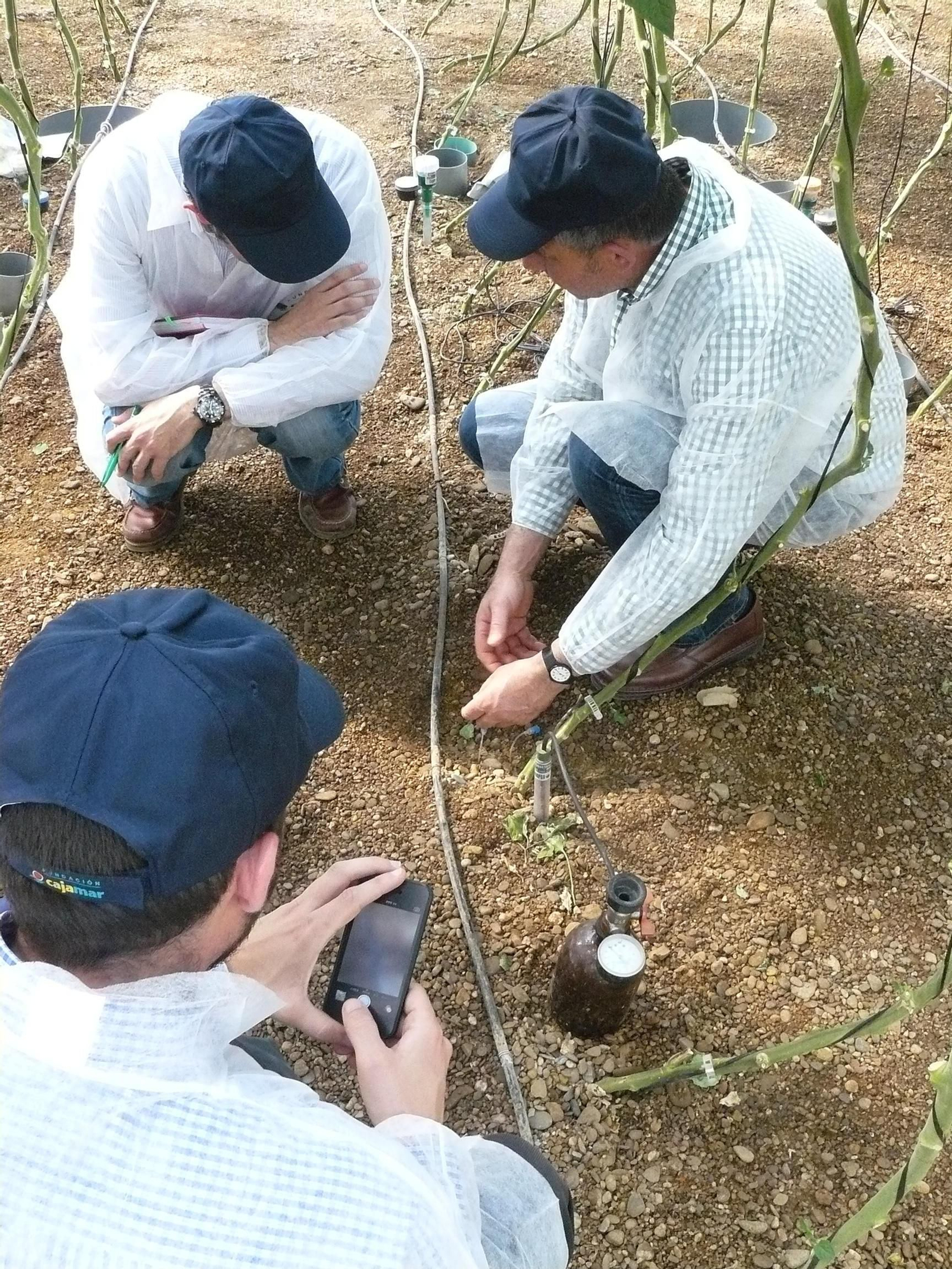 La eficiencia en el agua de riego es fundamental en Almería por la escasez.