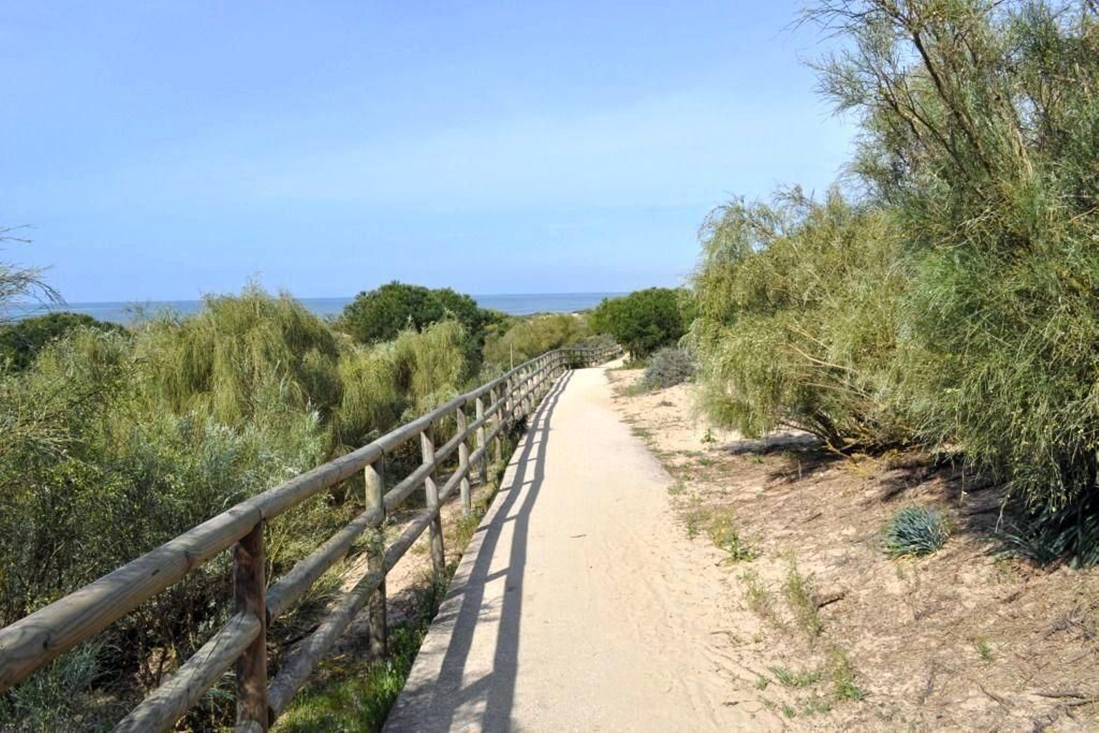 Rutas para mantenerte activo mirando al mar