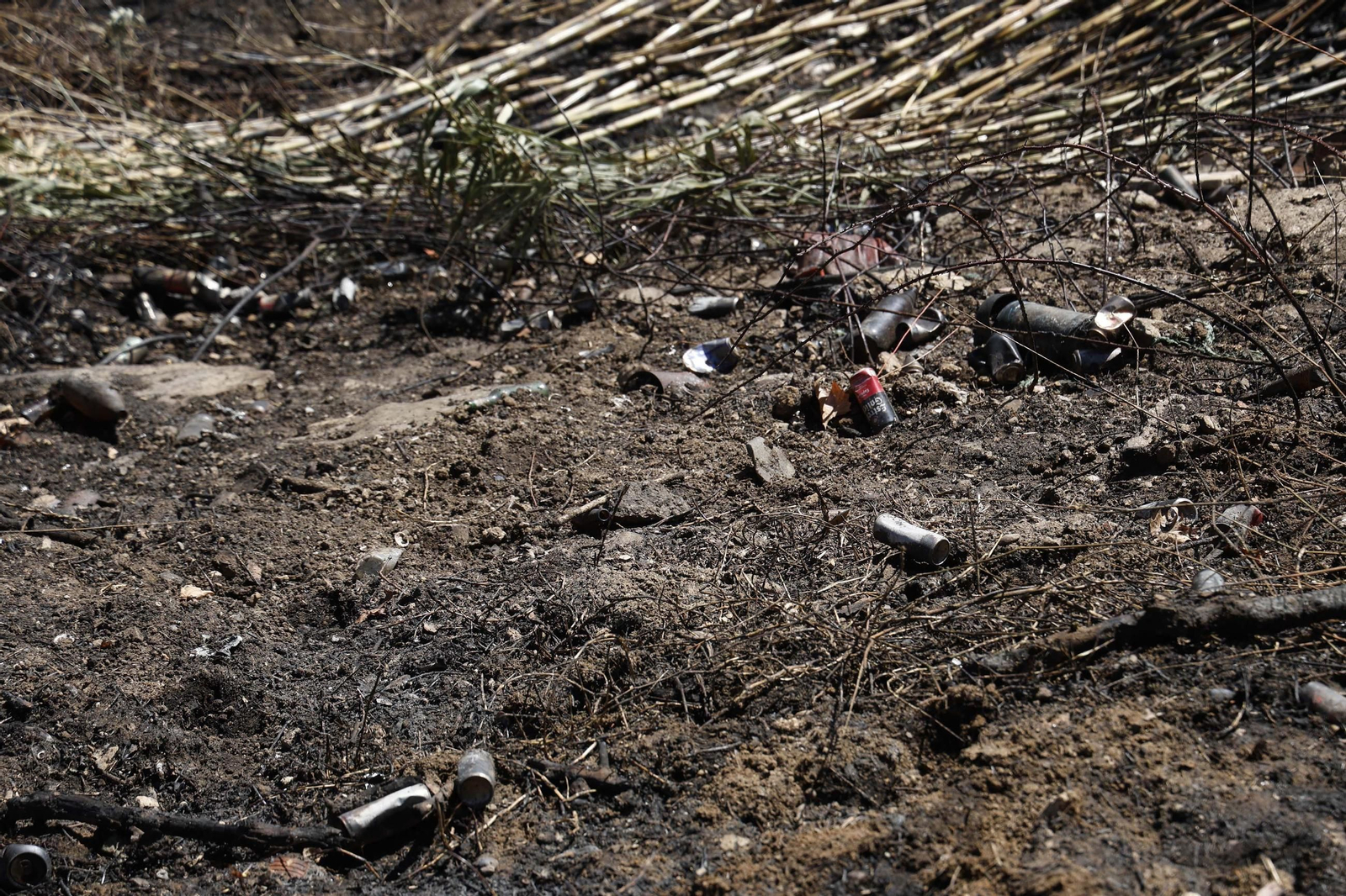 Así ha quedado la zona quemada por el incendio en el Paseo de la Cornisa de Algeciras
