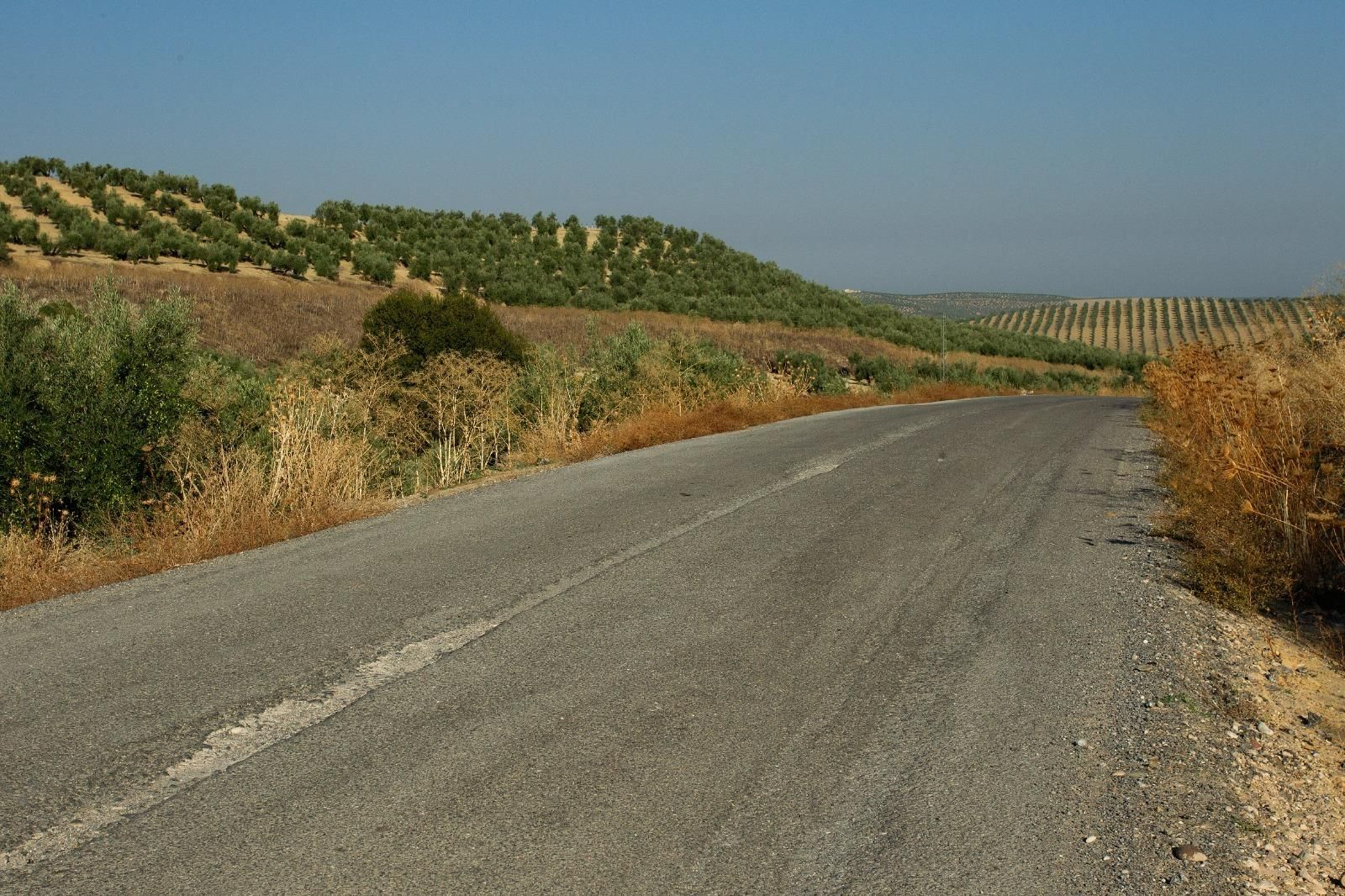 Una de las carreteras que será objeto de mejora.