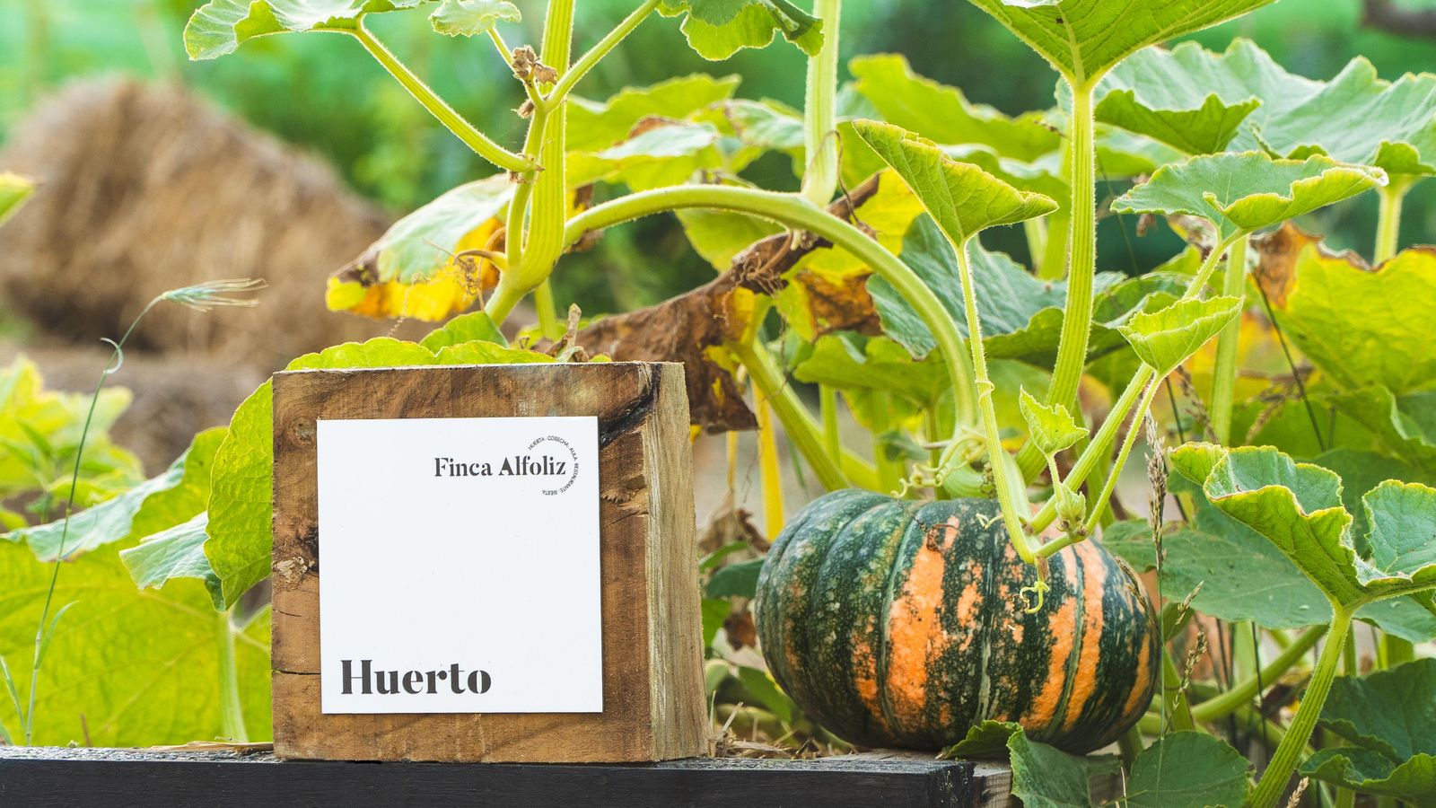 El huerto de Finca Alfoliz