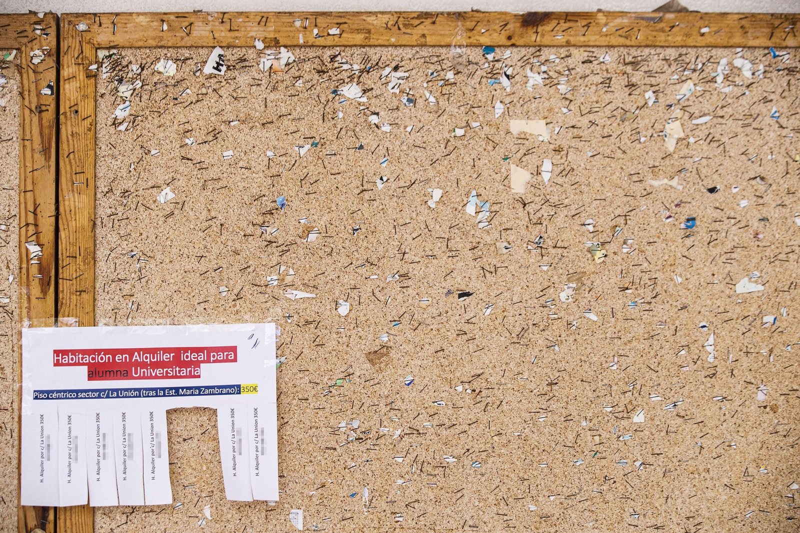 58 años, no fuma y sin mascota: el perfil del gaditano que comparte piso en Cádiz