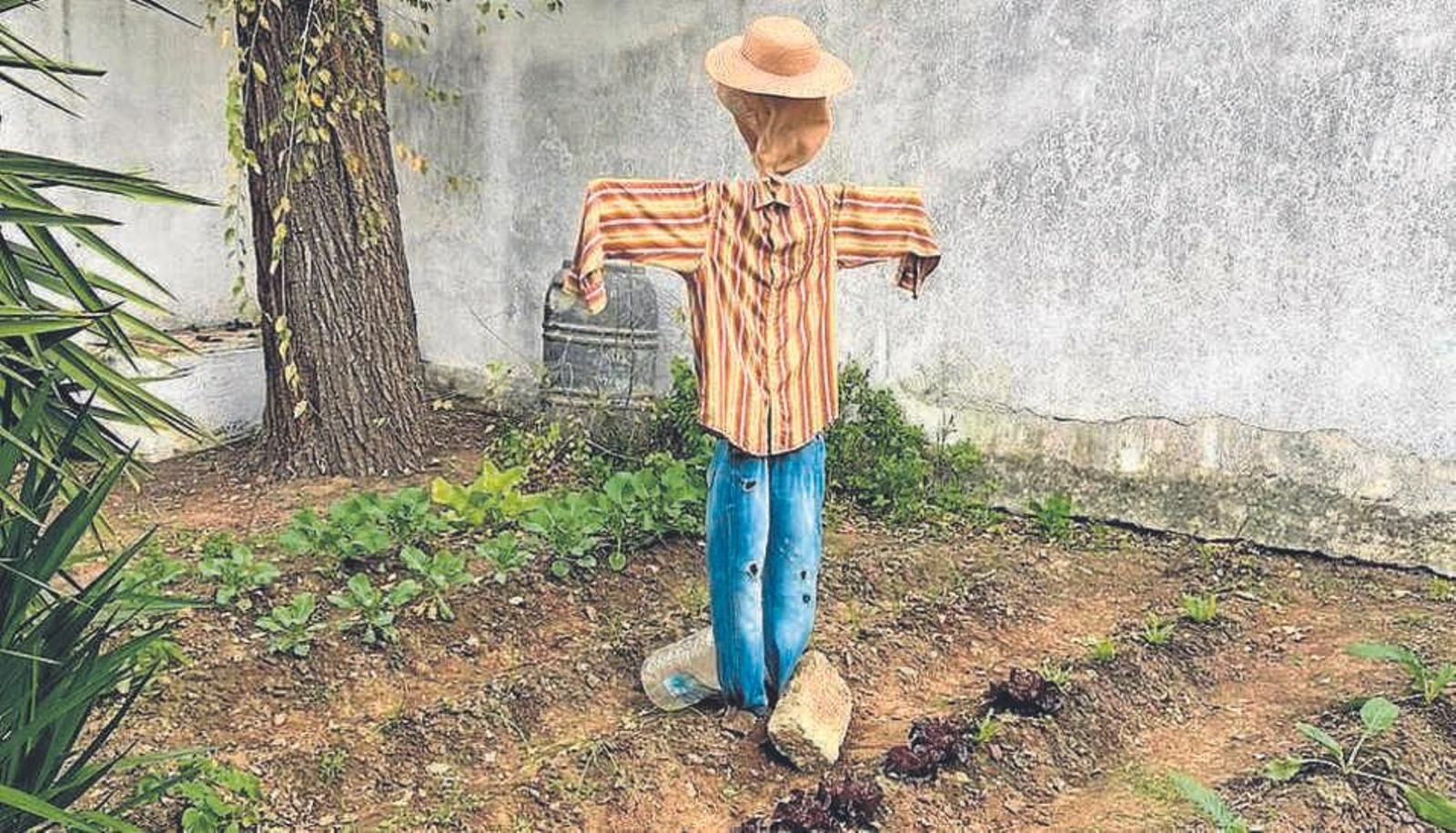 Huerto de los alumnos