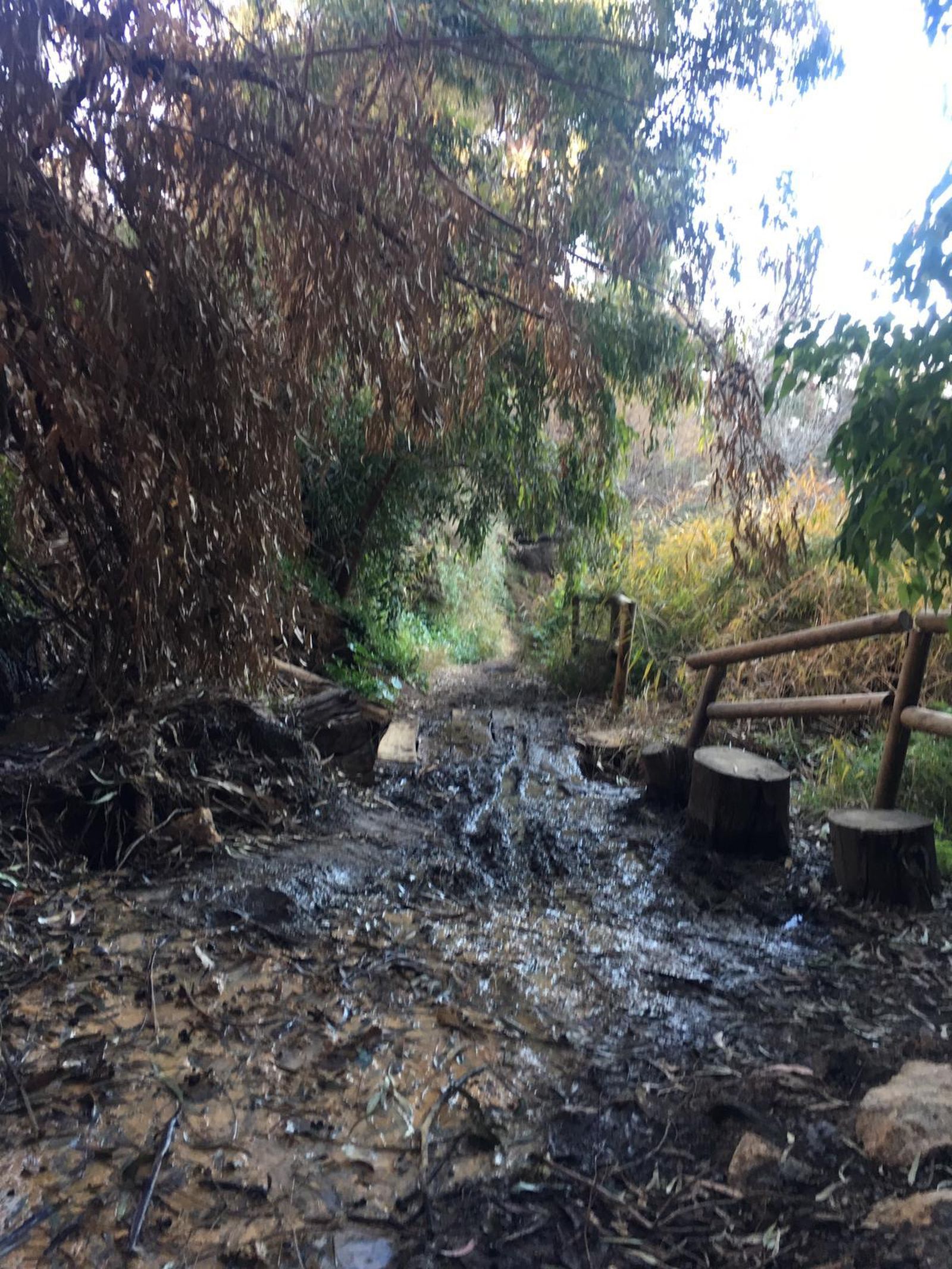 Uno de los senderos que llevan al castillo.