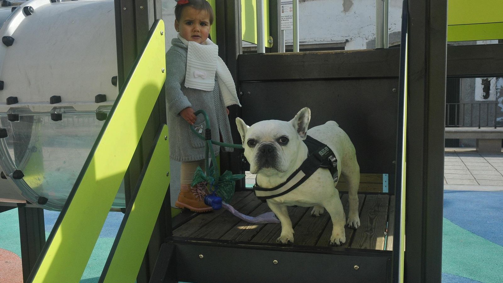 'Mambo' pasea con Paula, su familia adoptiva de Montilla.