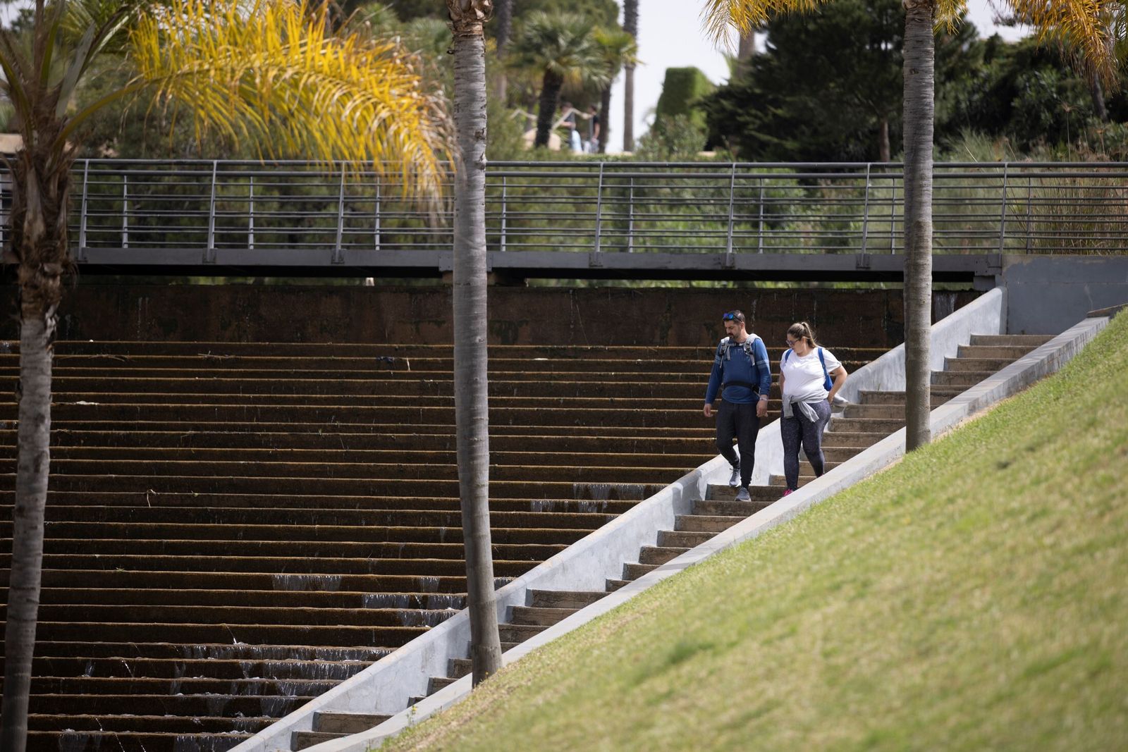 La bellas imágenes del Parque Botánico Celestino Mutis en la provincia de Huelva