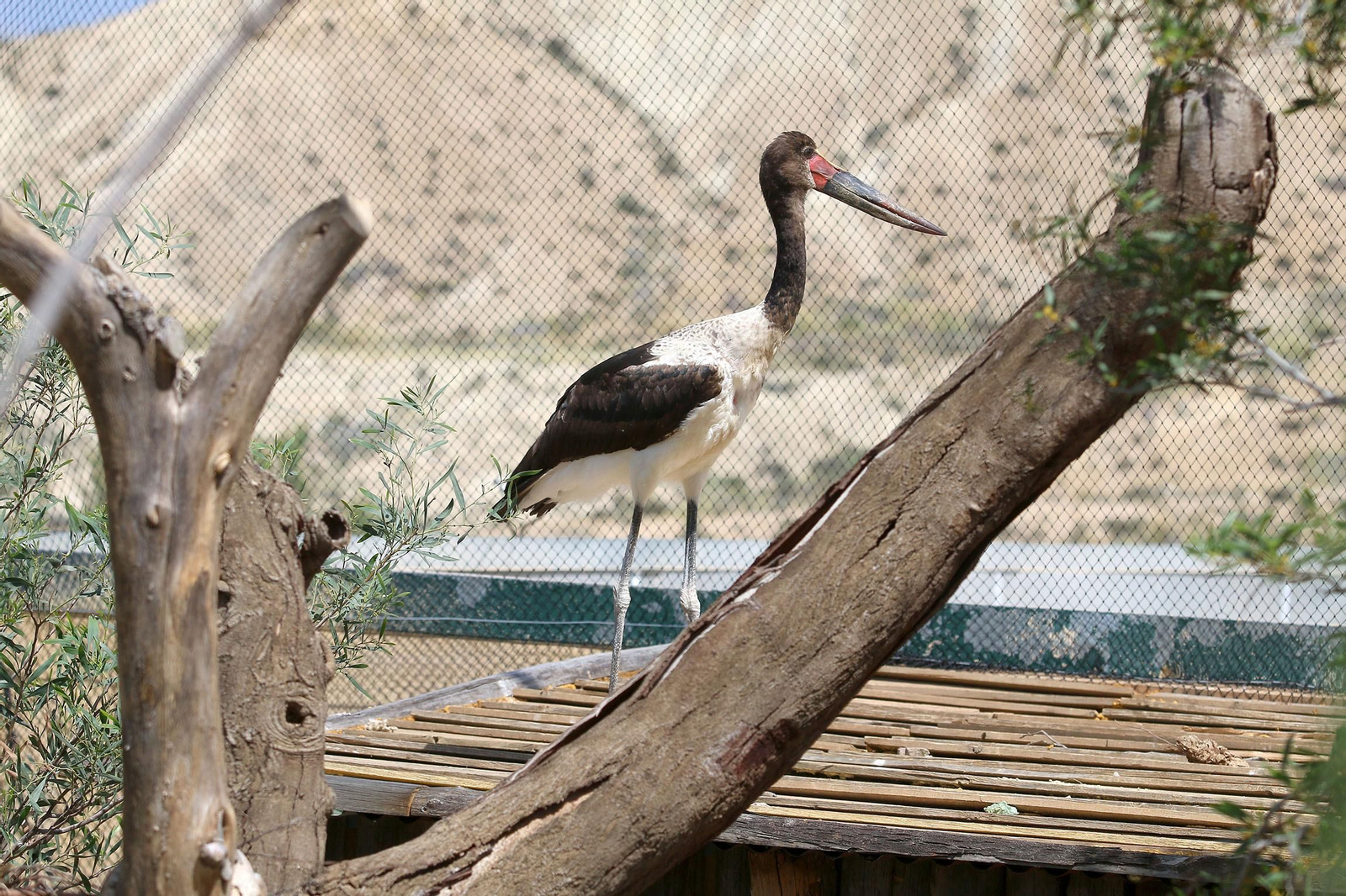 Fotogalería del Oasys Mini Hollywood sin actividad durante el coronavirus