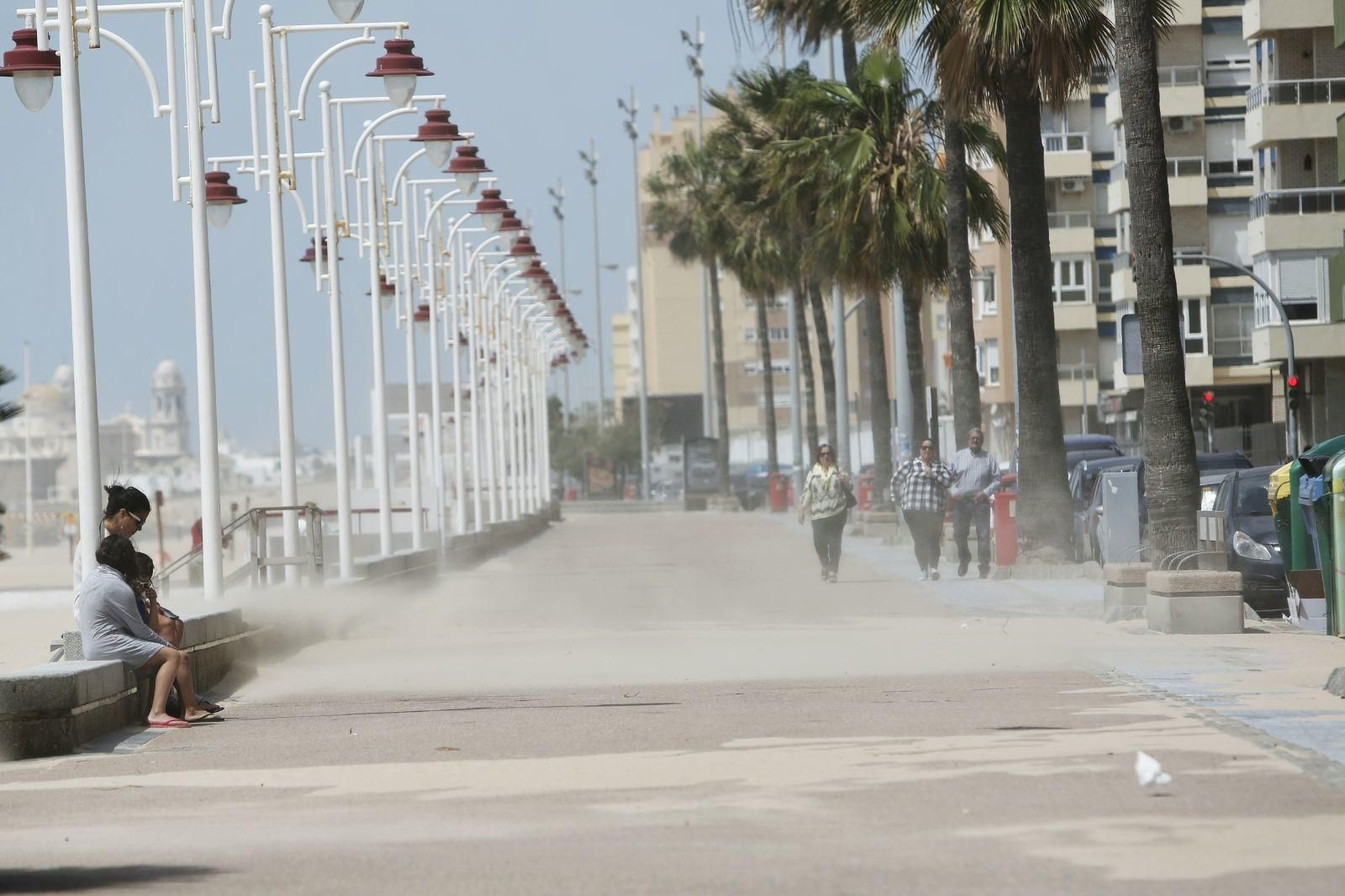 Efectos del temporal de levante en Cádiz